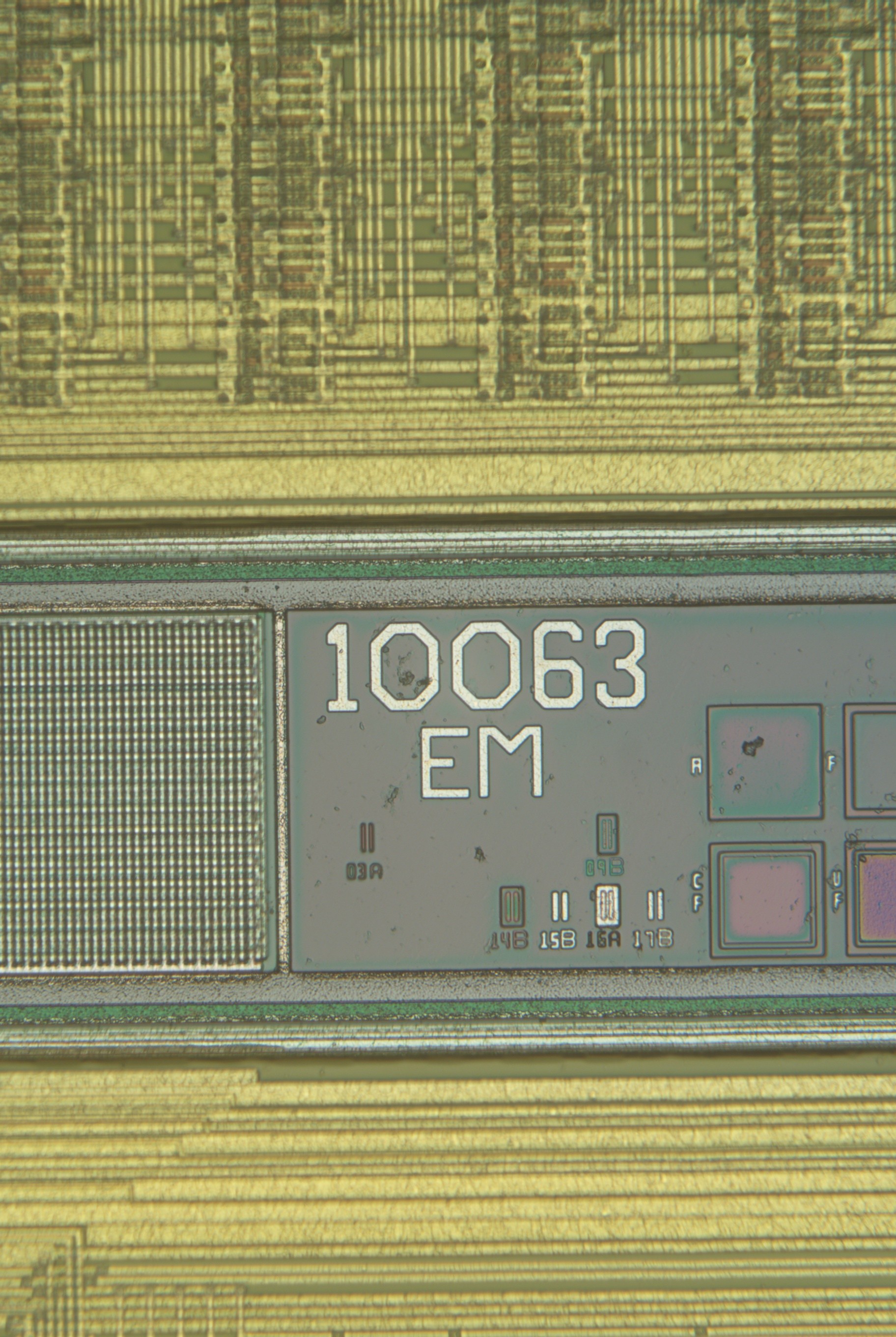 44_20x.jpg 44_20x.jpg