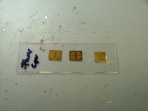 iphone-cpu-chips.jpg