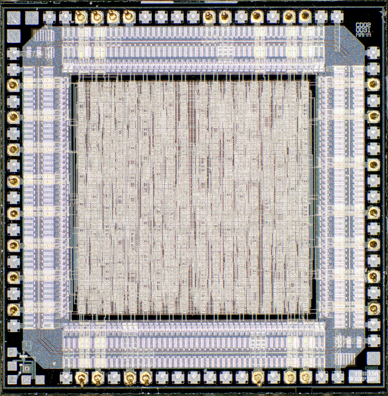 ASCII   Kolor stitching | 4 pictures | Size: 4882 x 4961 | Lens: Standard | RMS:... ASCII   Kolor stitching | 4 pictures | Size: 4882 x 4961 | Lens: Standard | RMS:...