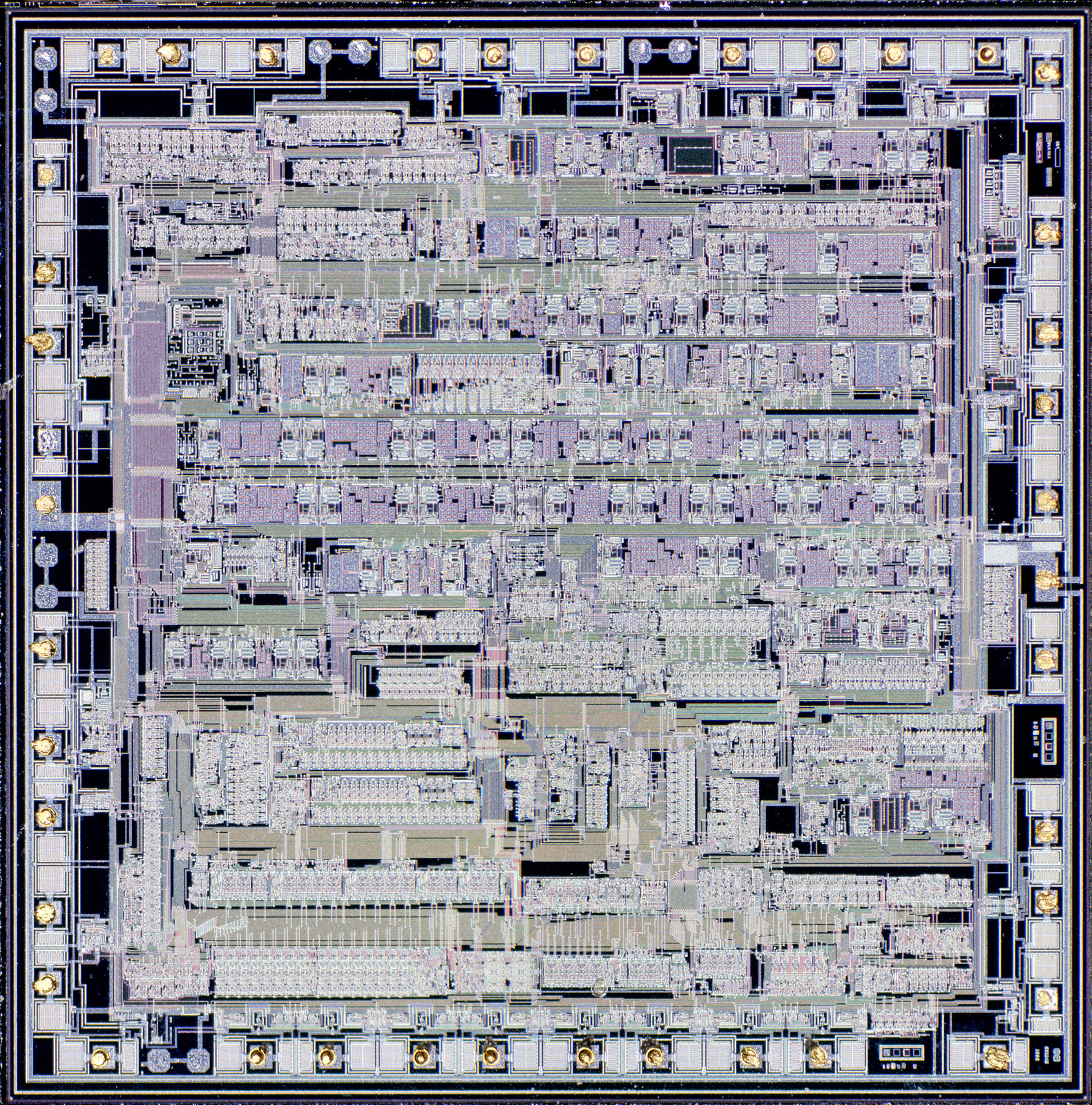ASCII Kolor stitching | 12 pictures | Size: 7837 x 7897 | Lens: Standard |... ASCII Kolor stitching | 12 pictures | Size: 7837 x 7897 | Lens: Standard |...