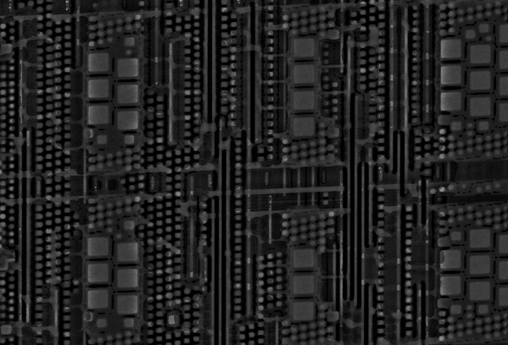 sem_m1pla25.jpg sem_m1pla25.jpg