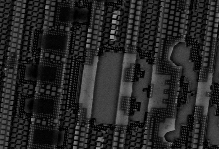 sem_tt09.jpg sem_tt09.jpg