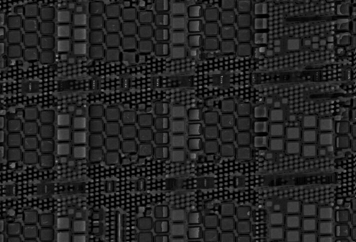 sem_m1pla23.jpg sem_m1pla23.jpg