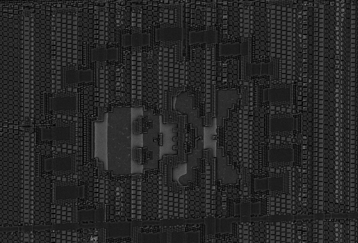 sem_m1pla20.jpg sem_m1pla20.jpg