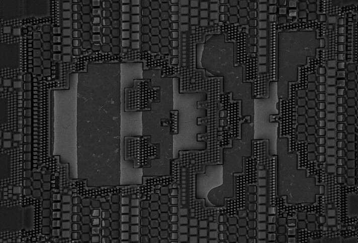 sem_m1pla21.jpg sem_m1pla21.jpg