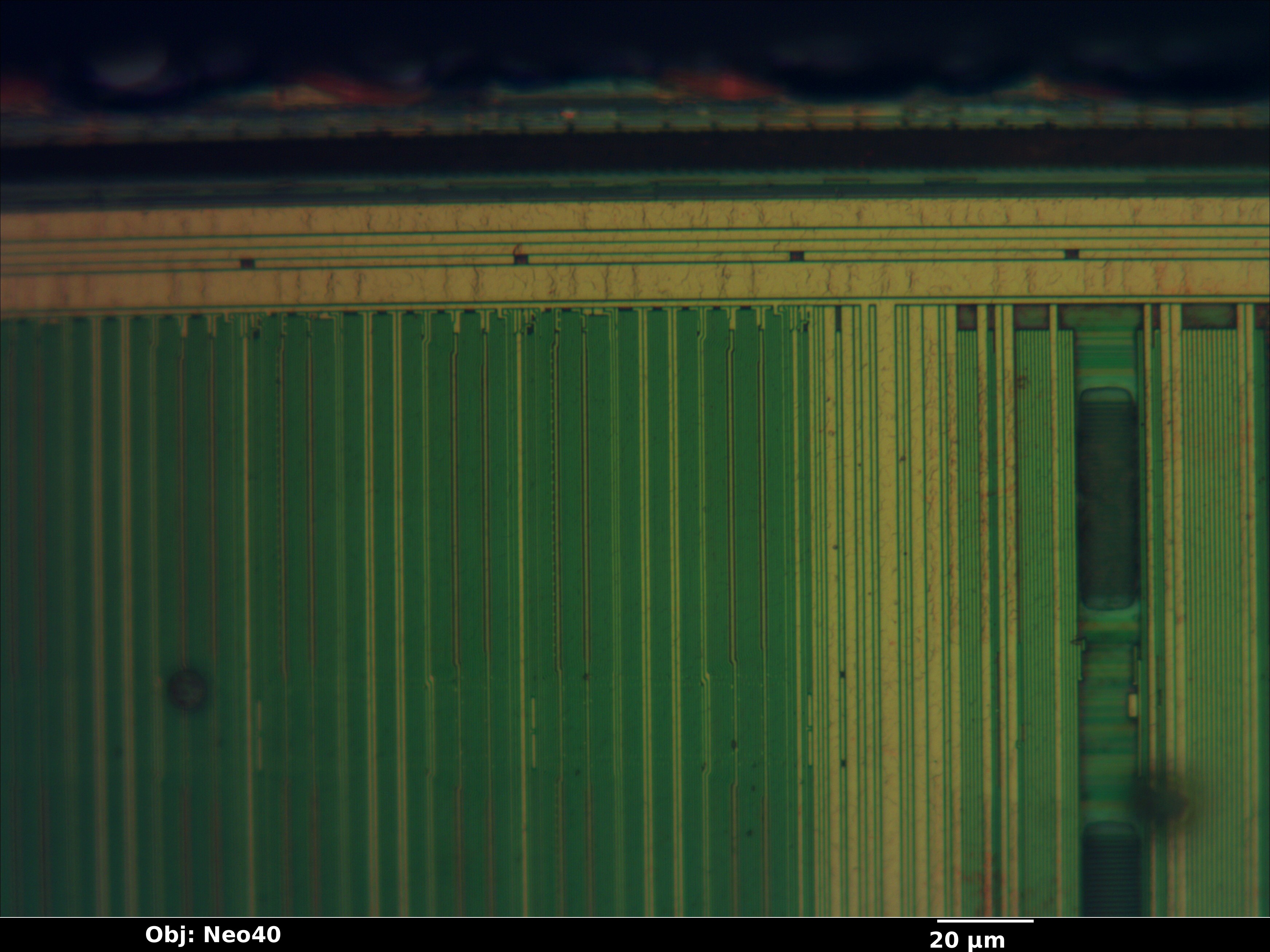 w9751g6kb_16_bf_neo40x_annotated.jpg w9751g6kb_16_bf_neo40x_annotated.jpg