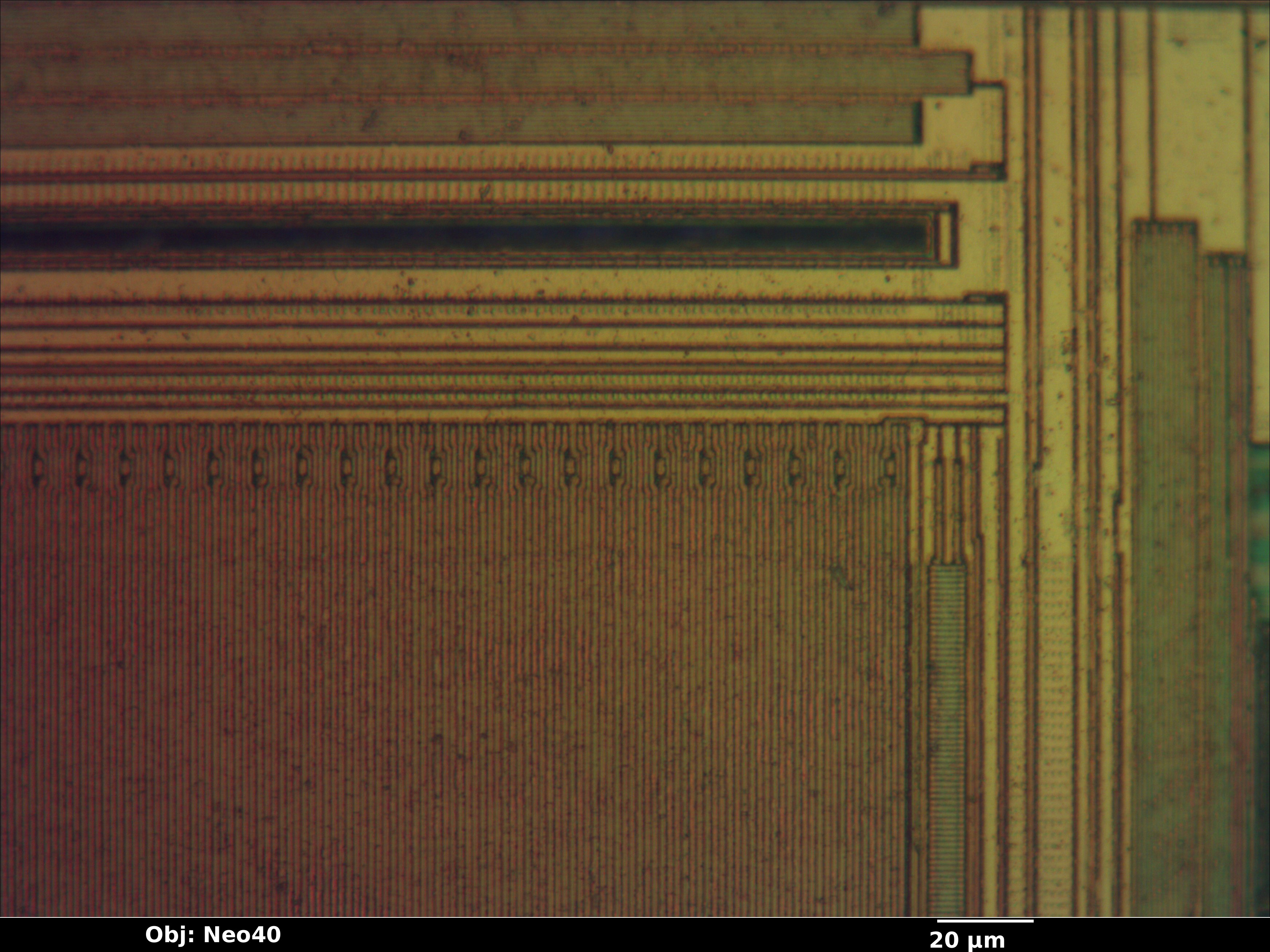 unknown_dram_02_bf_neo40x_annotated.jpg unknown_dram_02_bf_neo40x_annotated.jpg