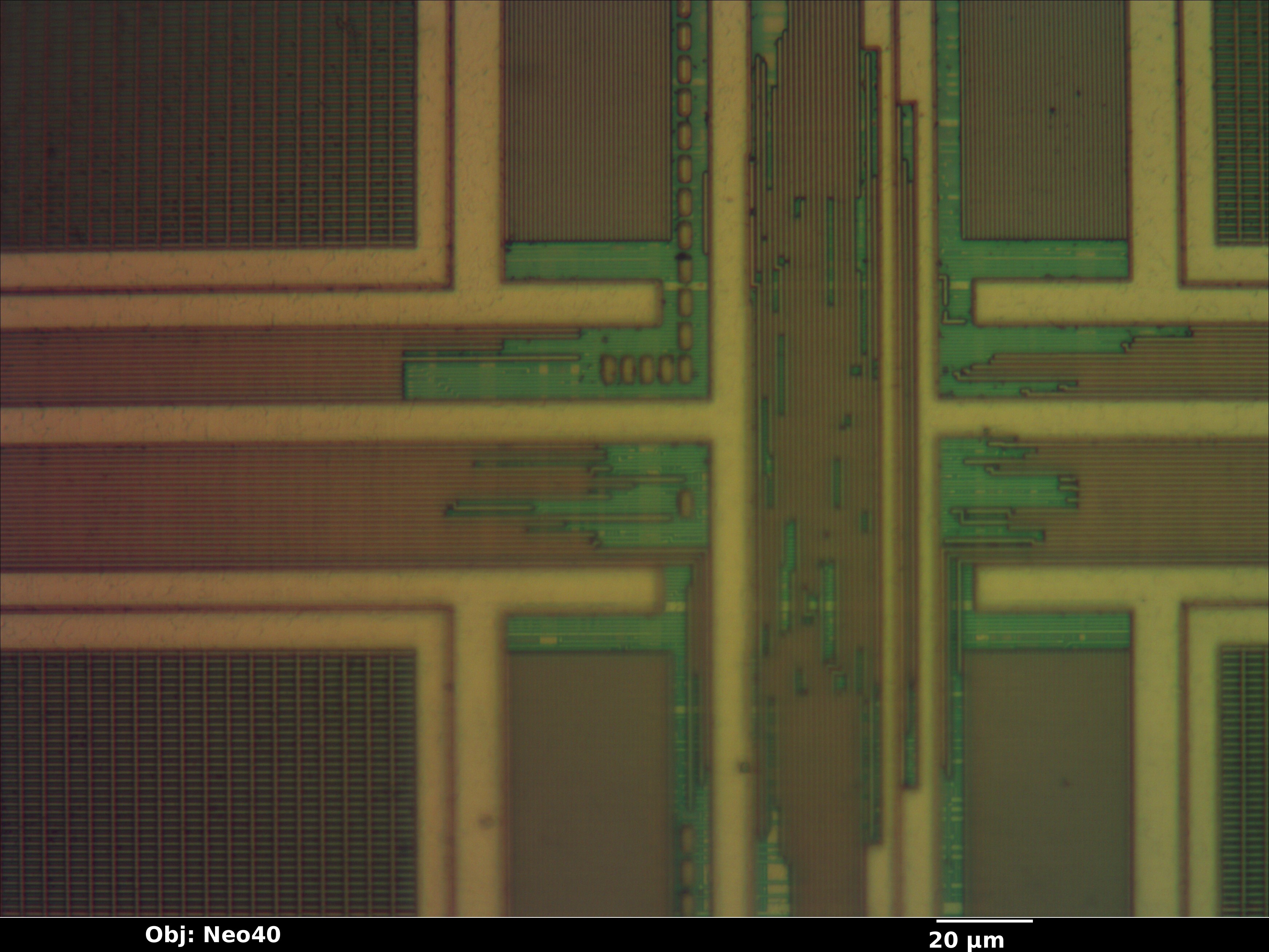 23k256_09_bf_neo40x_annotated.jpg 23k256_09_bf_neo40x_annotated.jpg