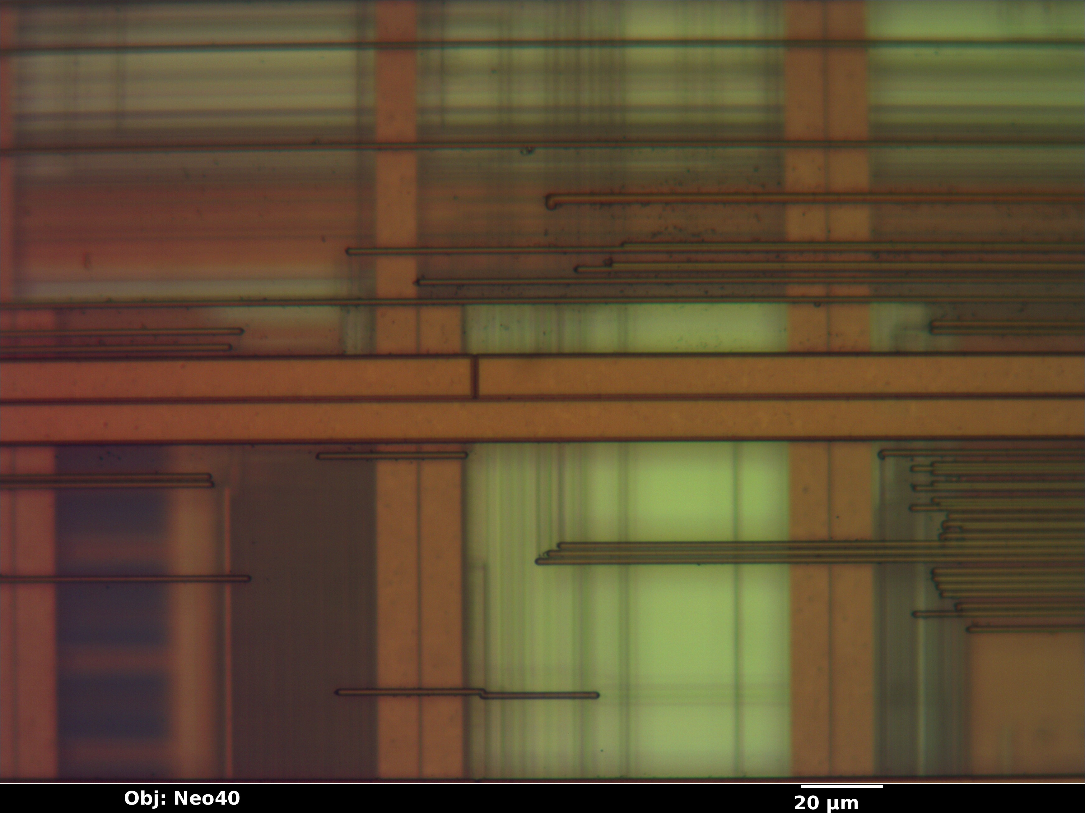 mcpx_26_bf_neo40x_annotated.jpg mcpx_26_bf_neo40x_annotated.jpg