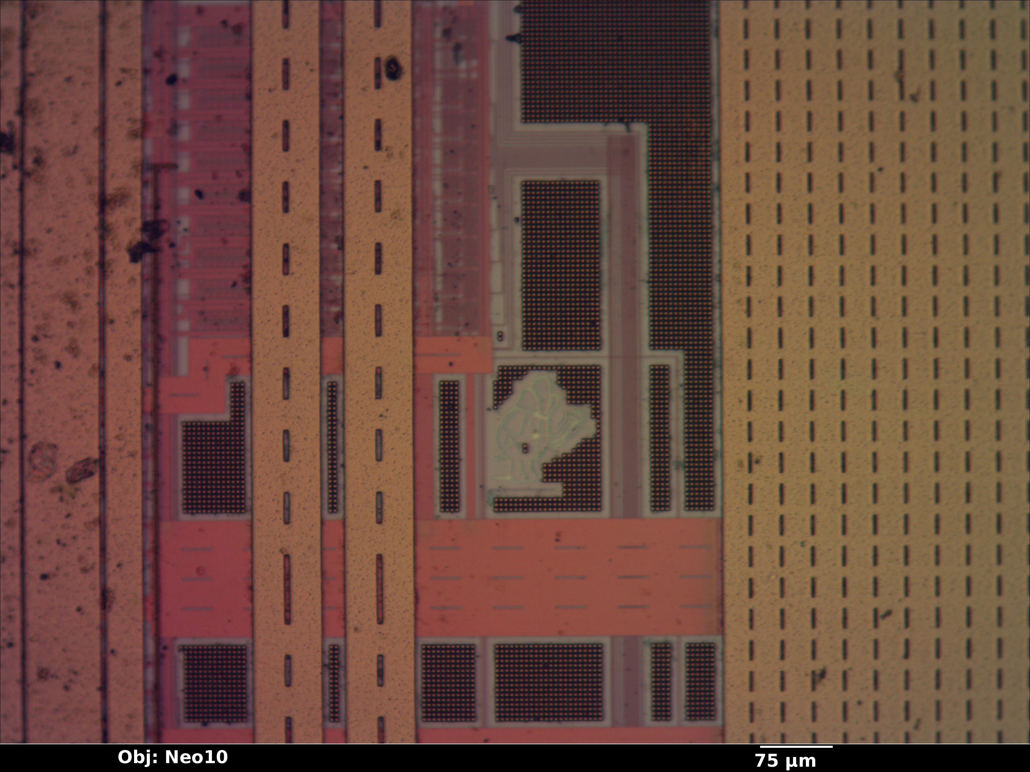 xbar_02_bf_neo10x_annotated.jpg xbar_02_bf_neo10x_annotated.jpg