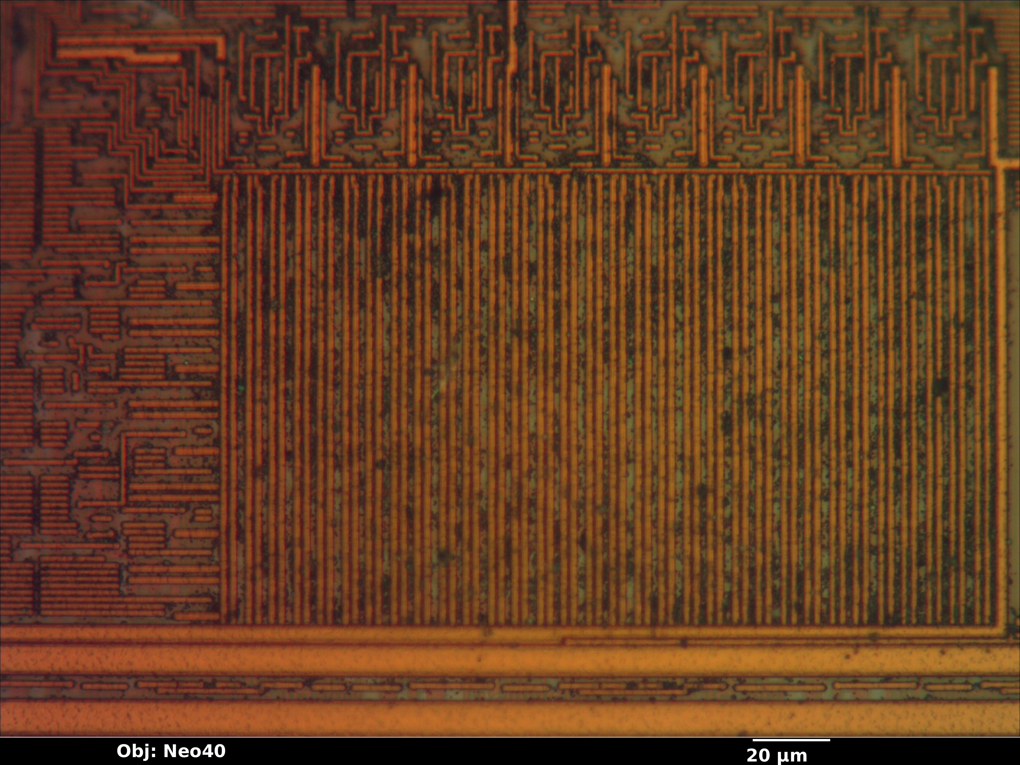 pic16f59_09_bf_neo40x_annotated.jpg pic16f59_09_bf_neo40x_annotated.jpg