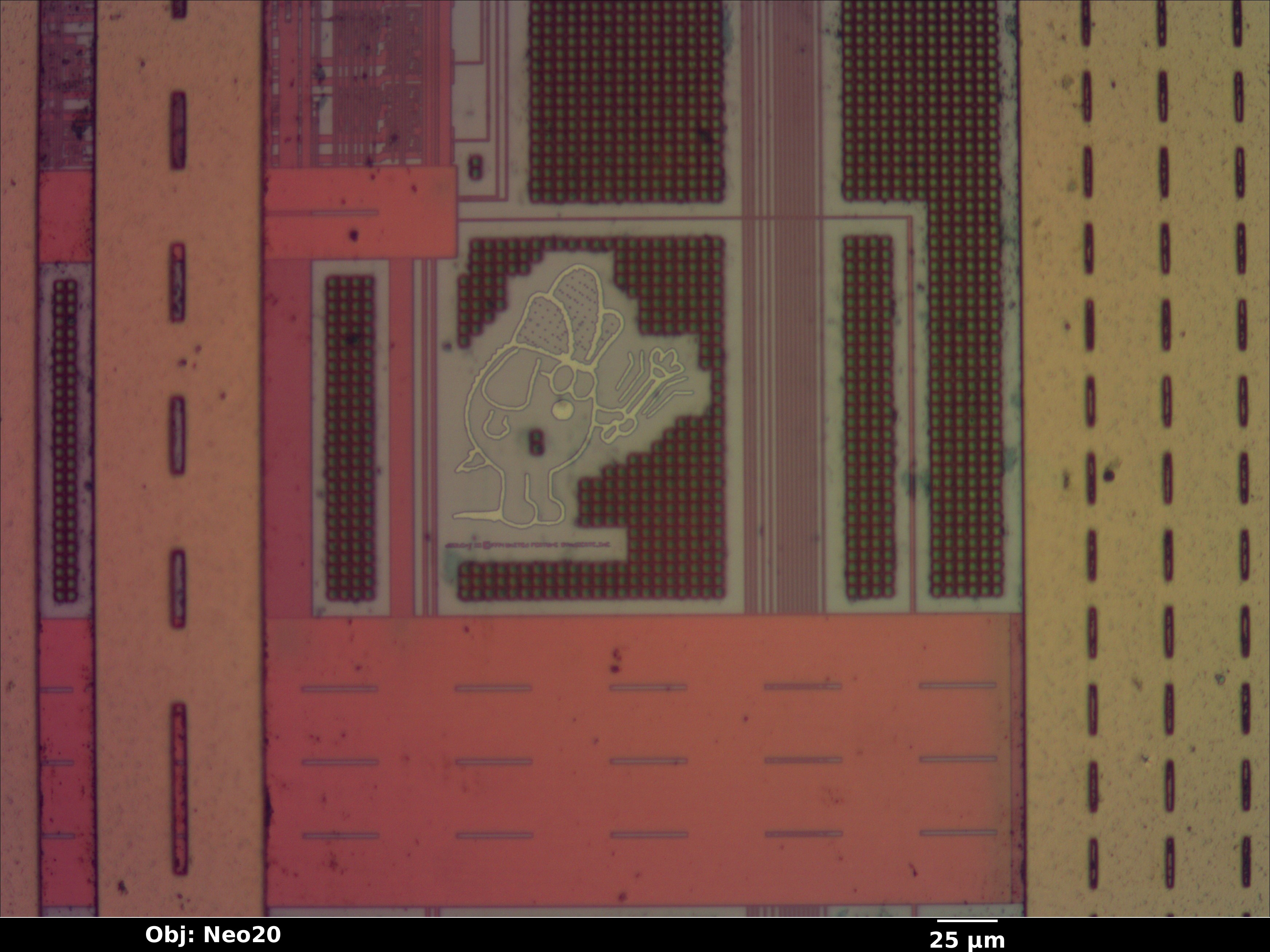xbar_03_bf_neo20x_annotated.jpg xbar_03_bf_neo20x_annotated.jpg