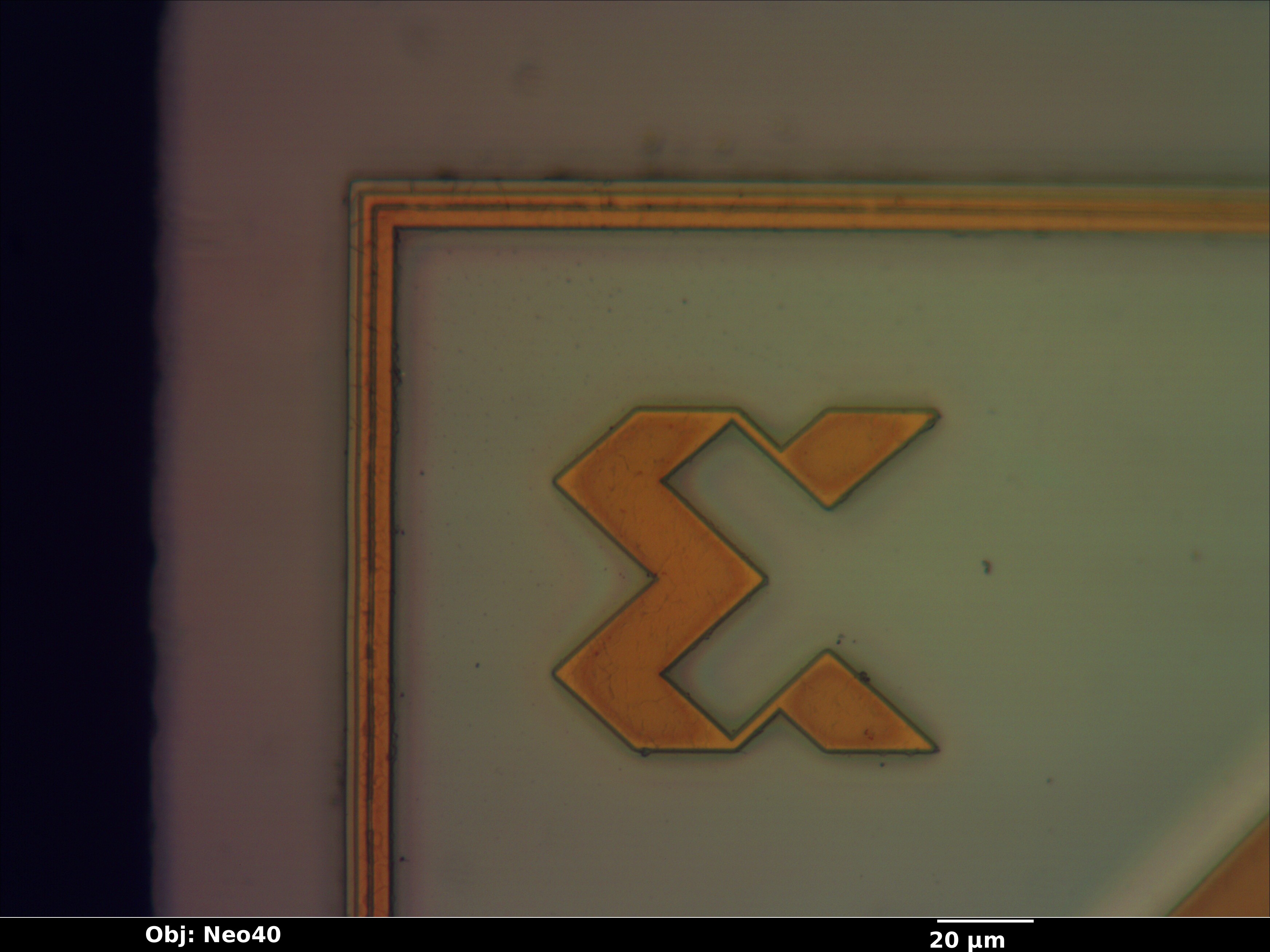 xcr3064xl_36_bf_neo40x_annotated.jpg xcr3064xl_36_bf_neo40x_annotated.jpg