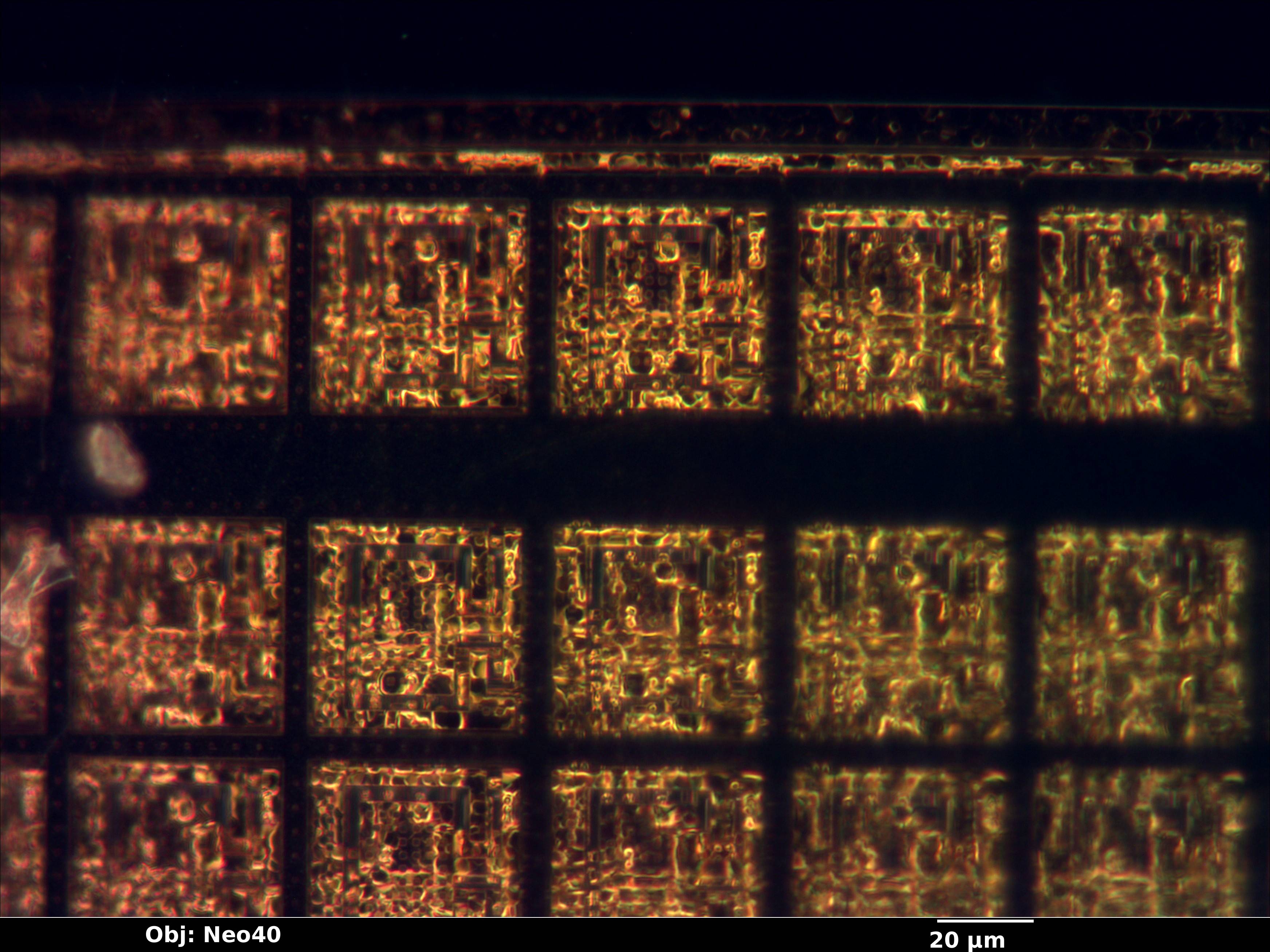 fingerprint_004_df_neo40x_annotated.jpg fingerprint_004_df_neo40x_annotated.jpg