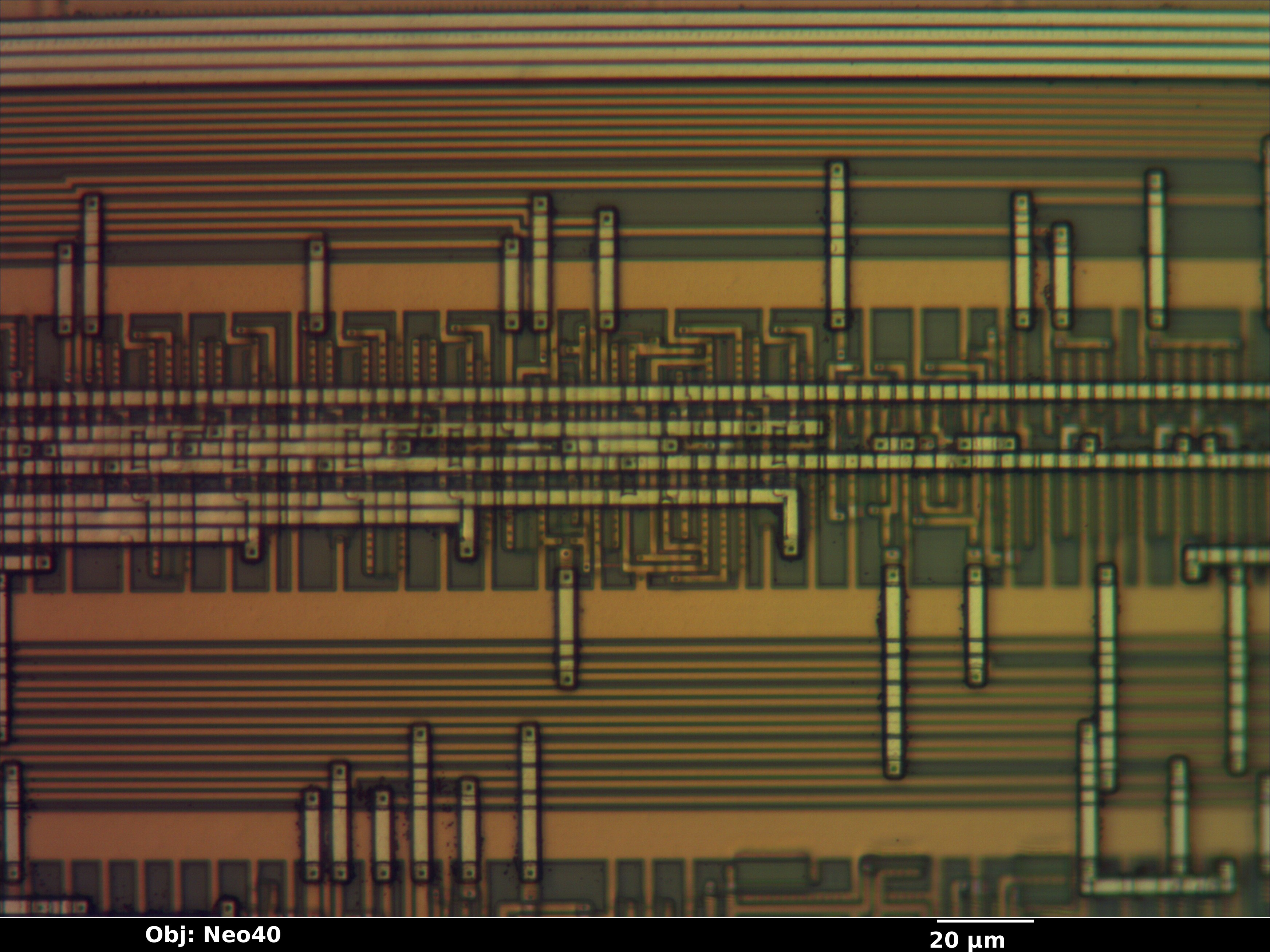 at29c010a_14_bf_neo40x_annotated.jpg at29c010a_14_bf_neo40x_annotated.jpg