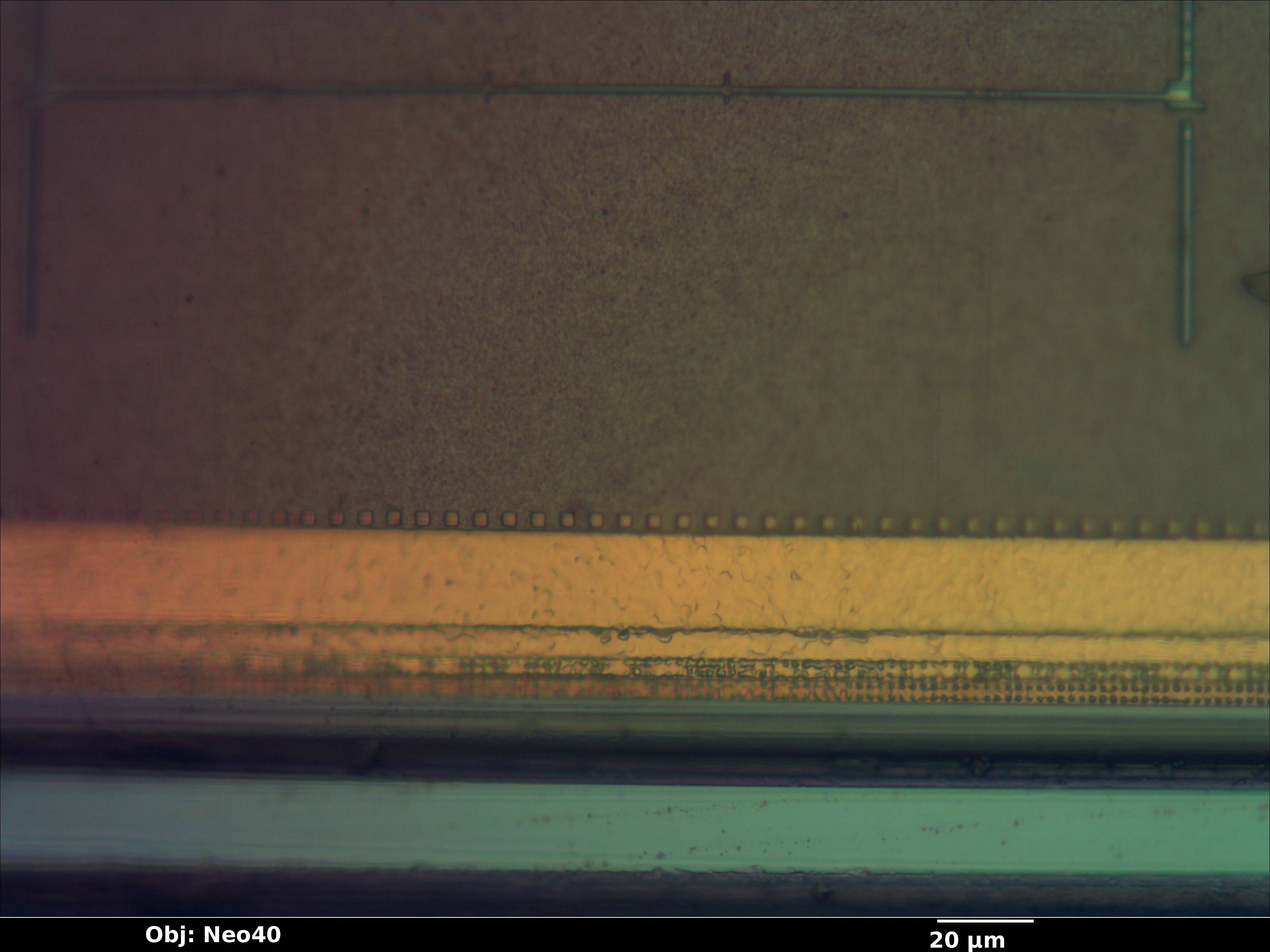 fingerprint_010_bf_neo40x_annotated.jpg fingerprint_010_bf_neo40x_annotated.jpg