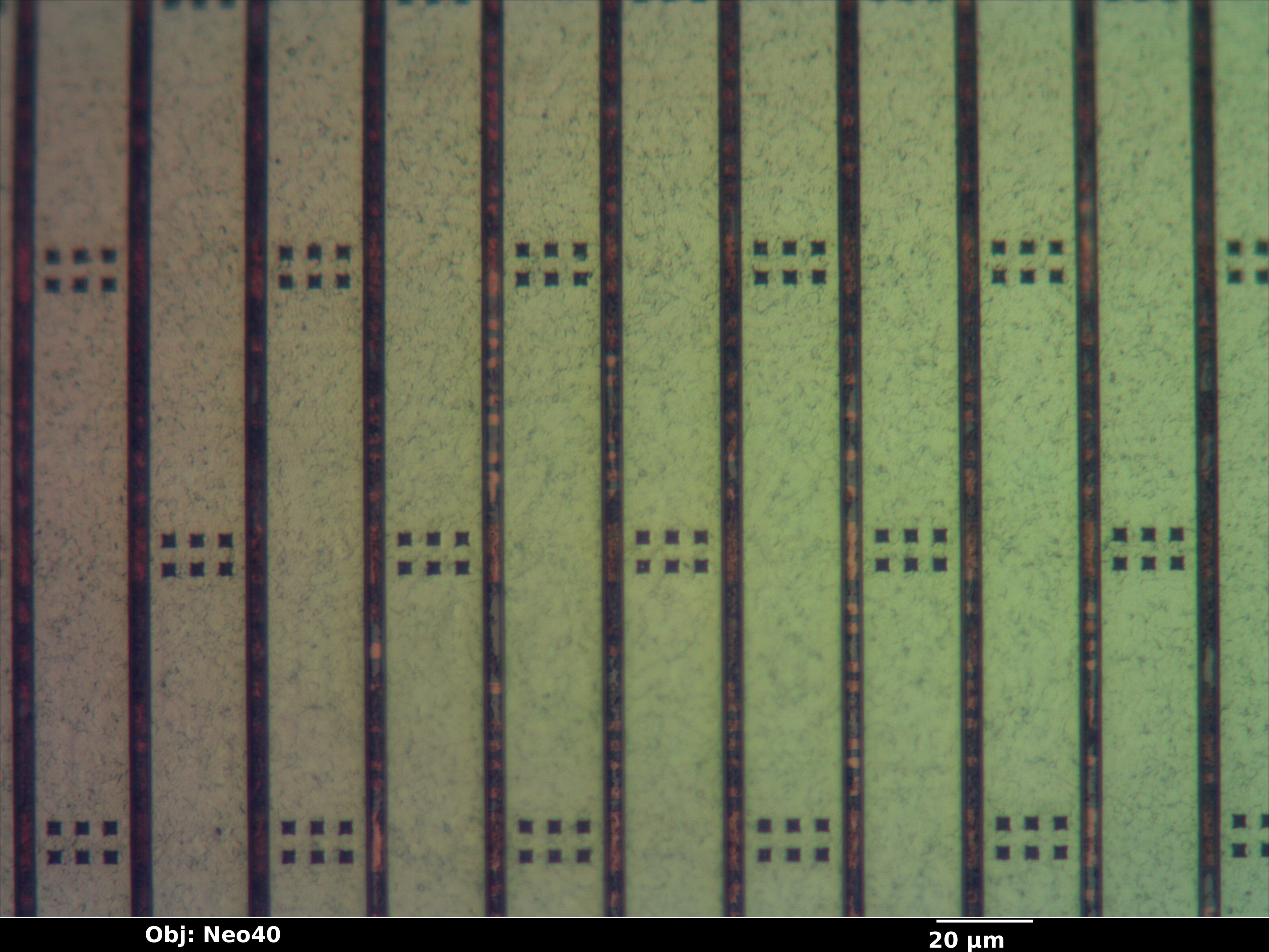 rt2150f_25_bf_neo40x_annotated.jpg rt2150f_25_bf_neo40x_annotated.jpg