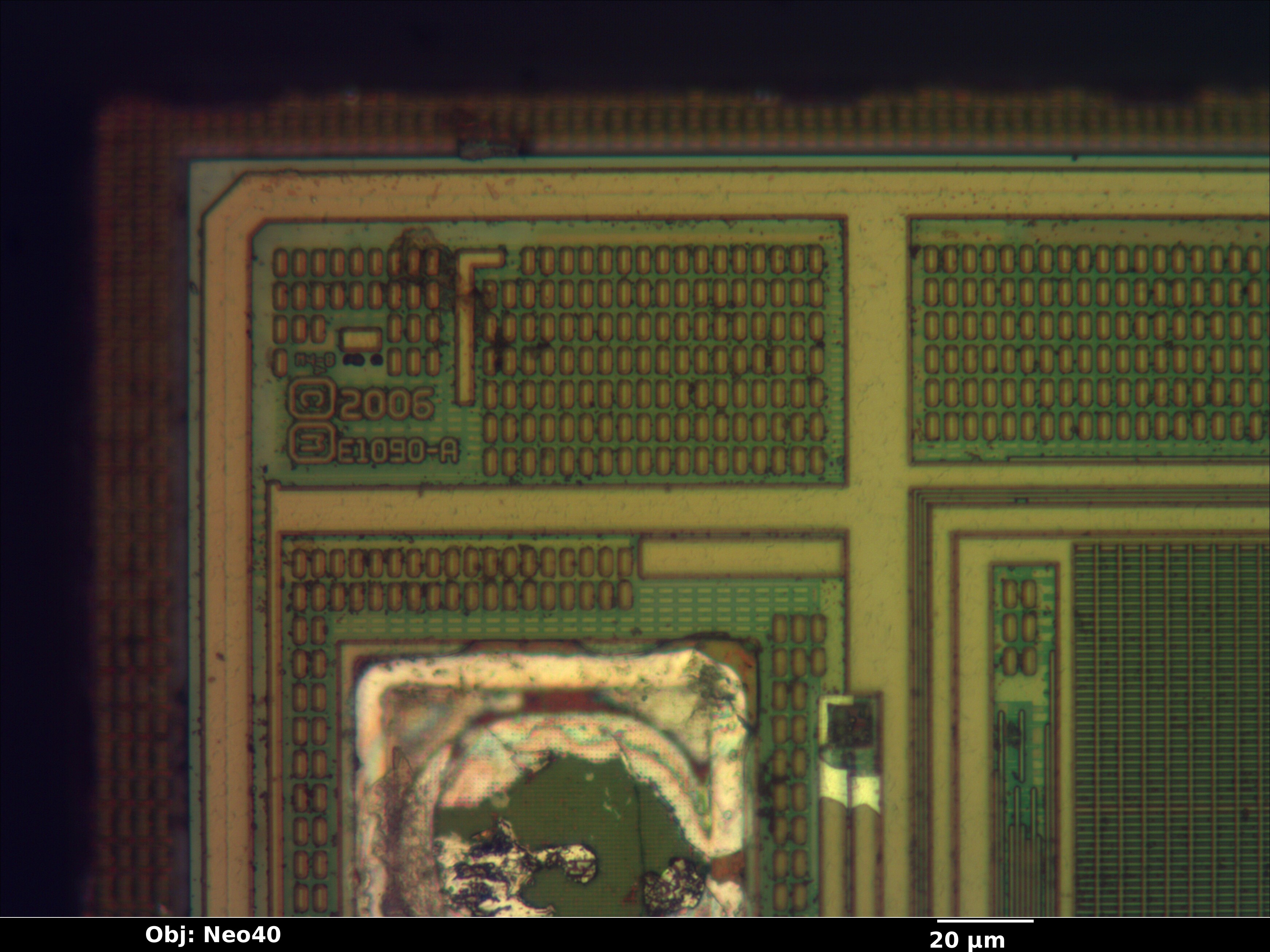23k256_07_bf_neo40x_annotated.jpg 23k256_07_bf_neo40x_annotated.jpg