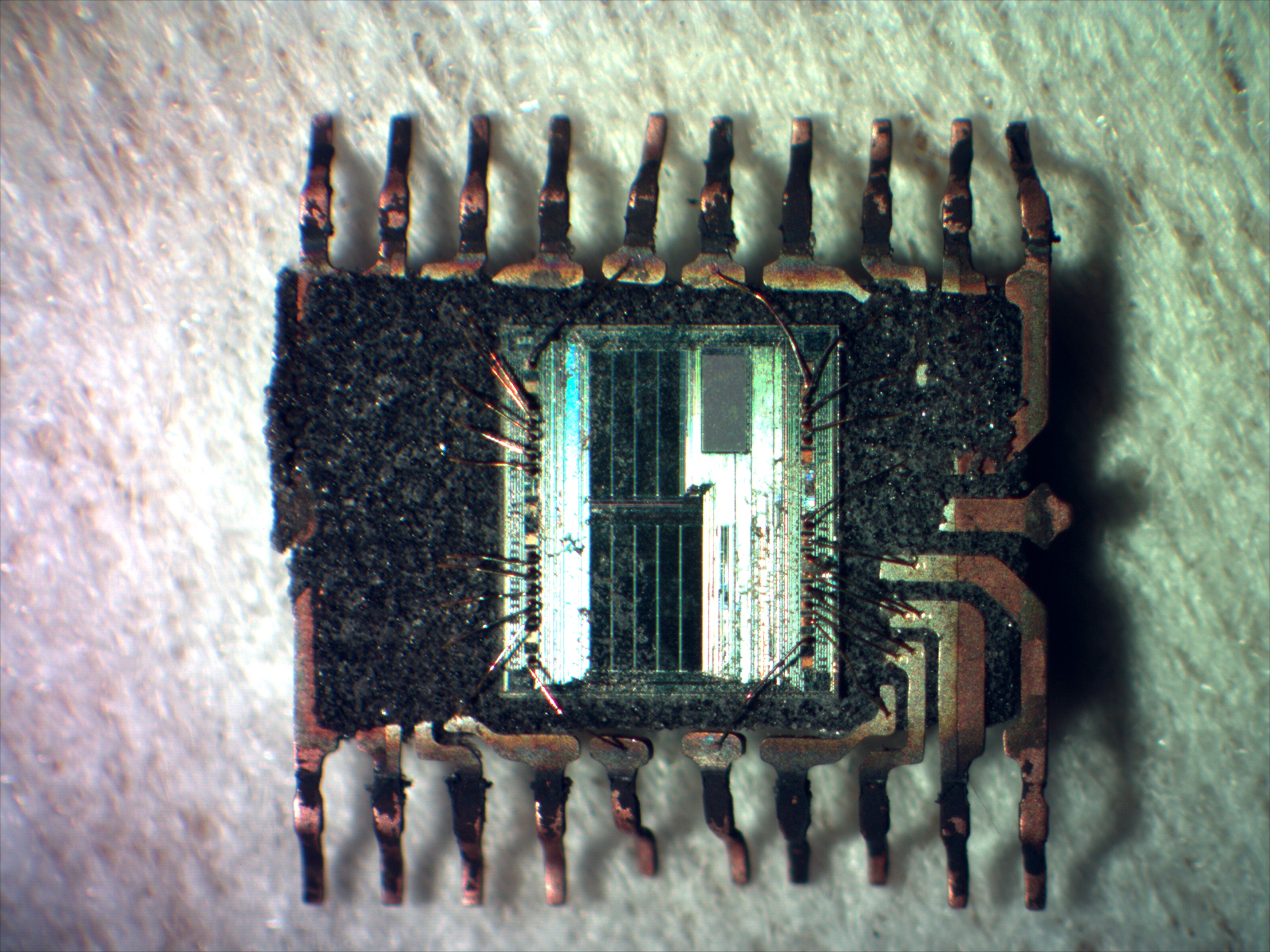 xcf02_02_bf_zoom.jpg xcf02_02_bf_zoom.jpg