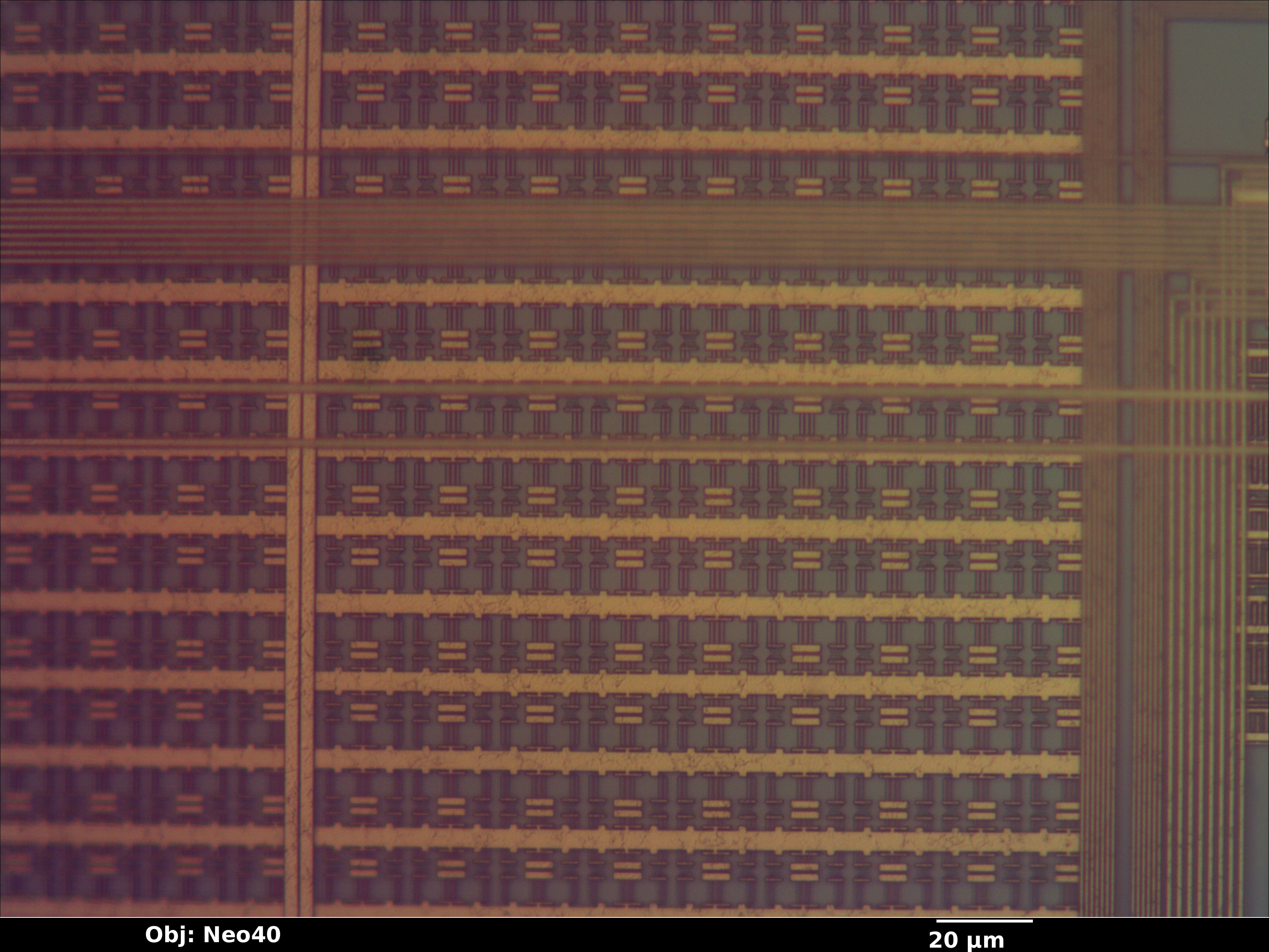 cyrix_mxi_132_09_bf_neo40x_annotated.jpg cyrix_mxi_132_09_bf_neo40x_annotated.jpg