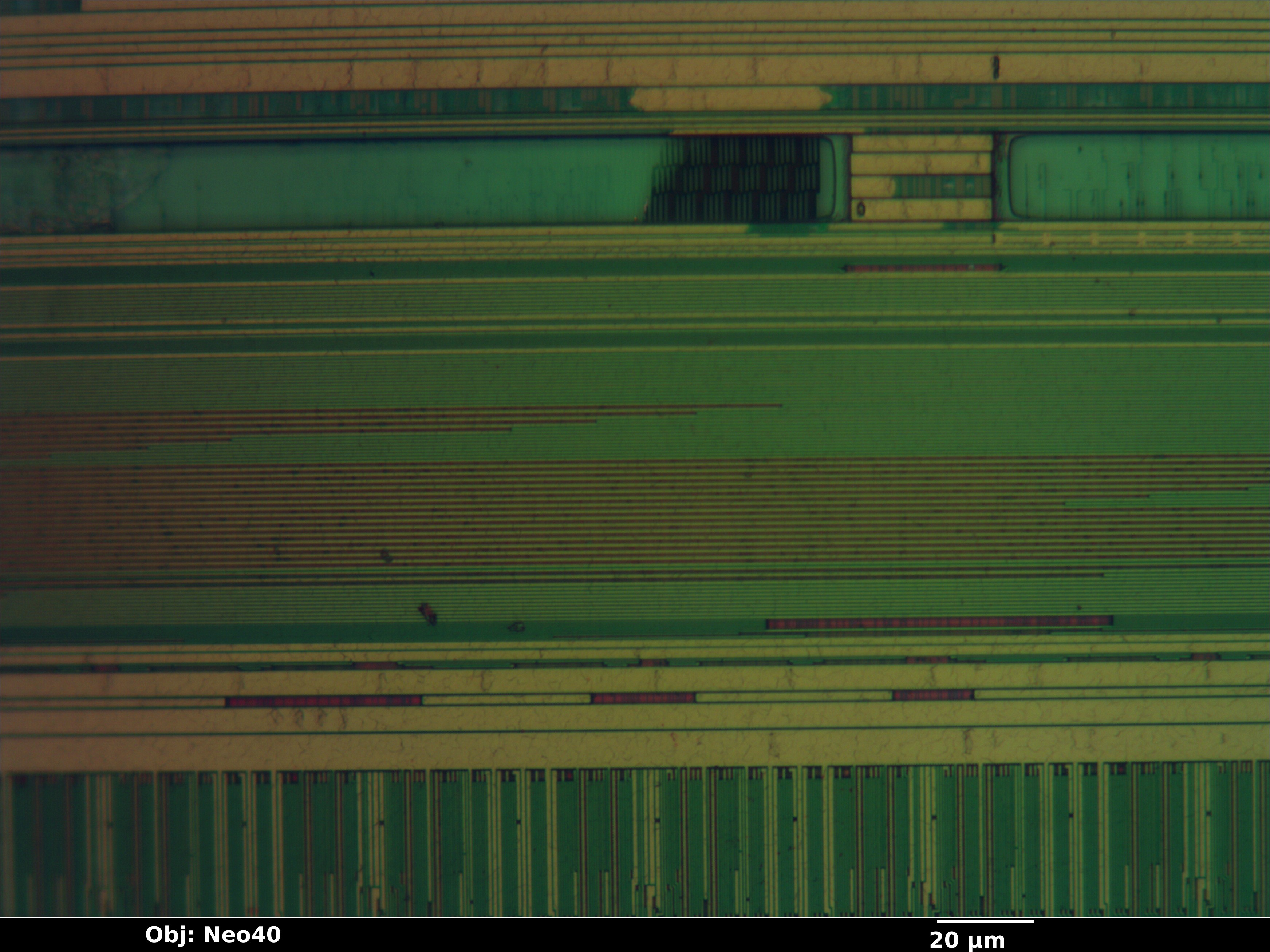 w9751g6kb_15_bf_neo40x_annotated.jpg w9751g6kb_15_bf_neo40x_annotated.jpg