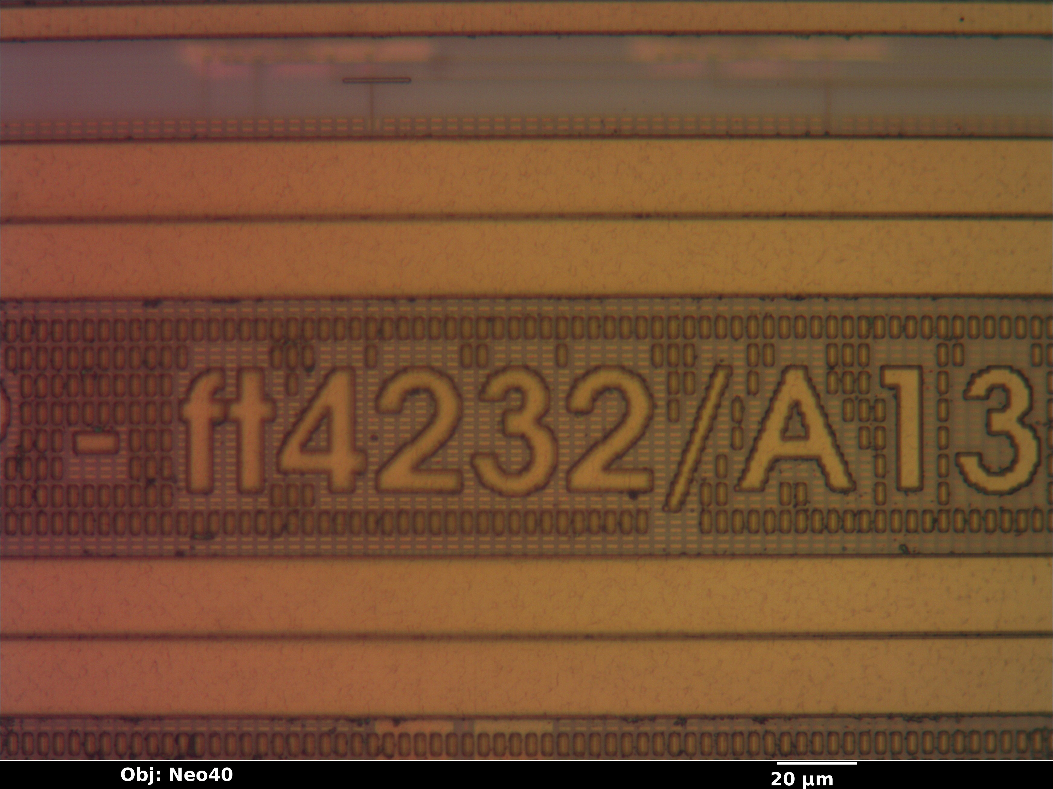 ft2232h_27_bf_neo40x_annotated.jpg ft2232h_27_bf_neo40x_annotated.jpg