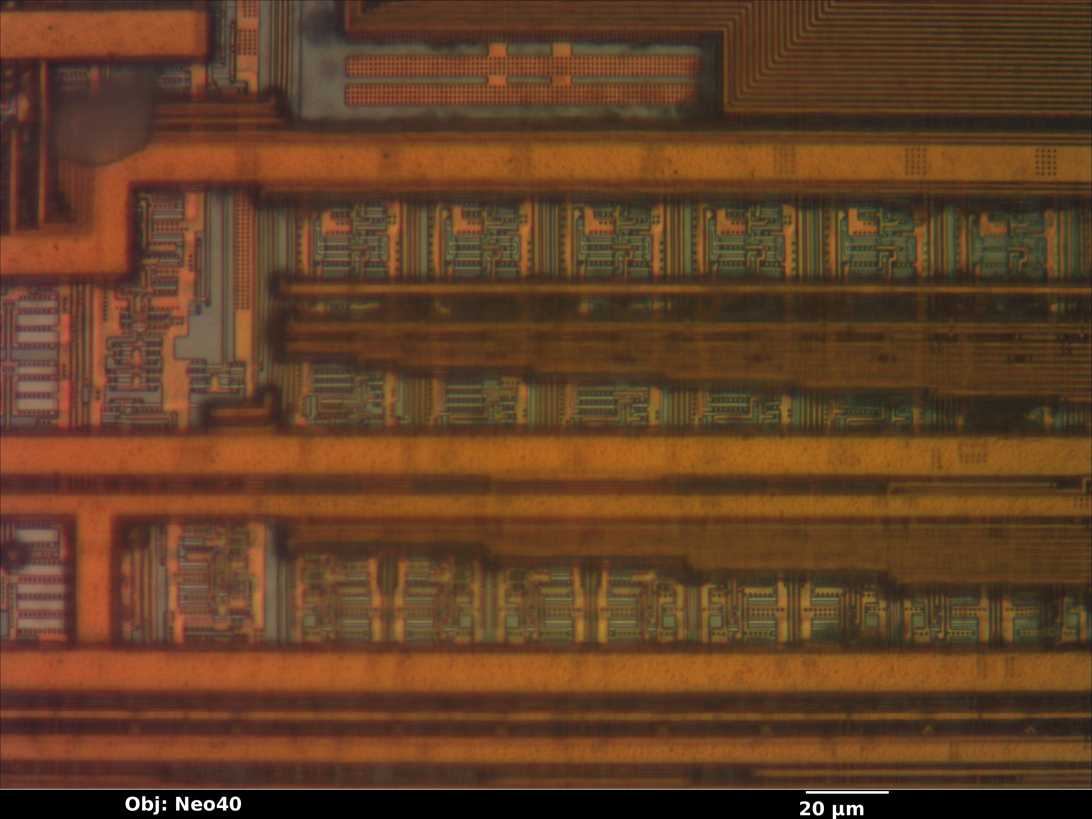 28f800_35_bf_neo40x_annotated.jpg 28f800_35_bf_neo40x_annotated.jpg