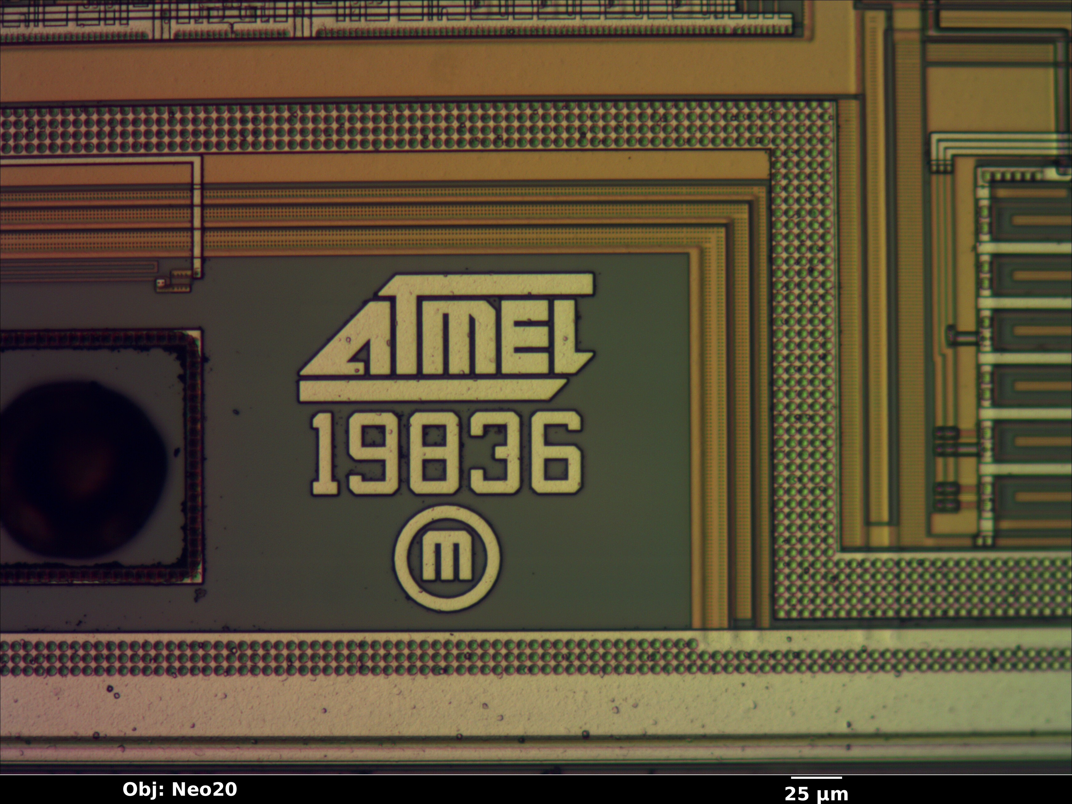 at29c010a_13_bf_neo20x_annotated.jpg at29c010a_13_bf_neo20x_annotated.jpg