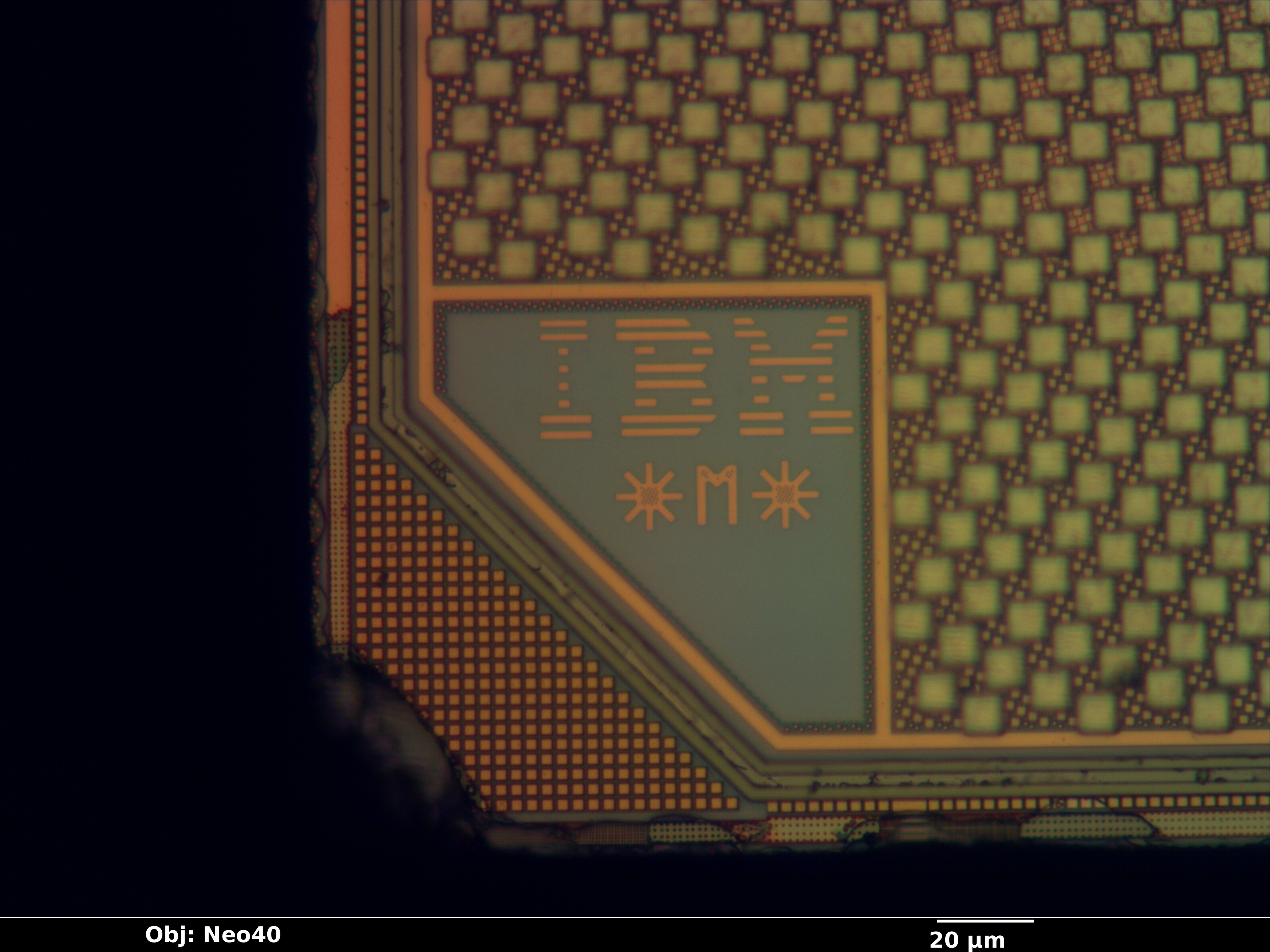 bfsc100f144_52_bf_neo40x_annotated.jpg bfsc100f144_52_bf_neo40x_annotated.jpg
