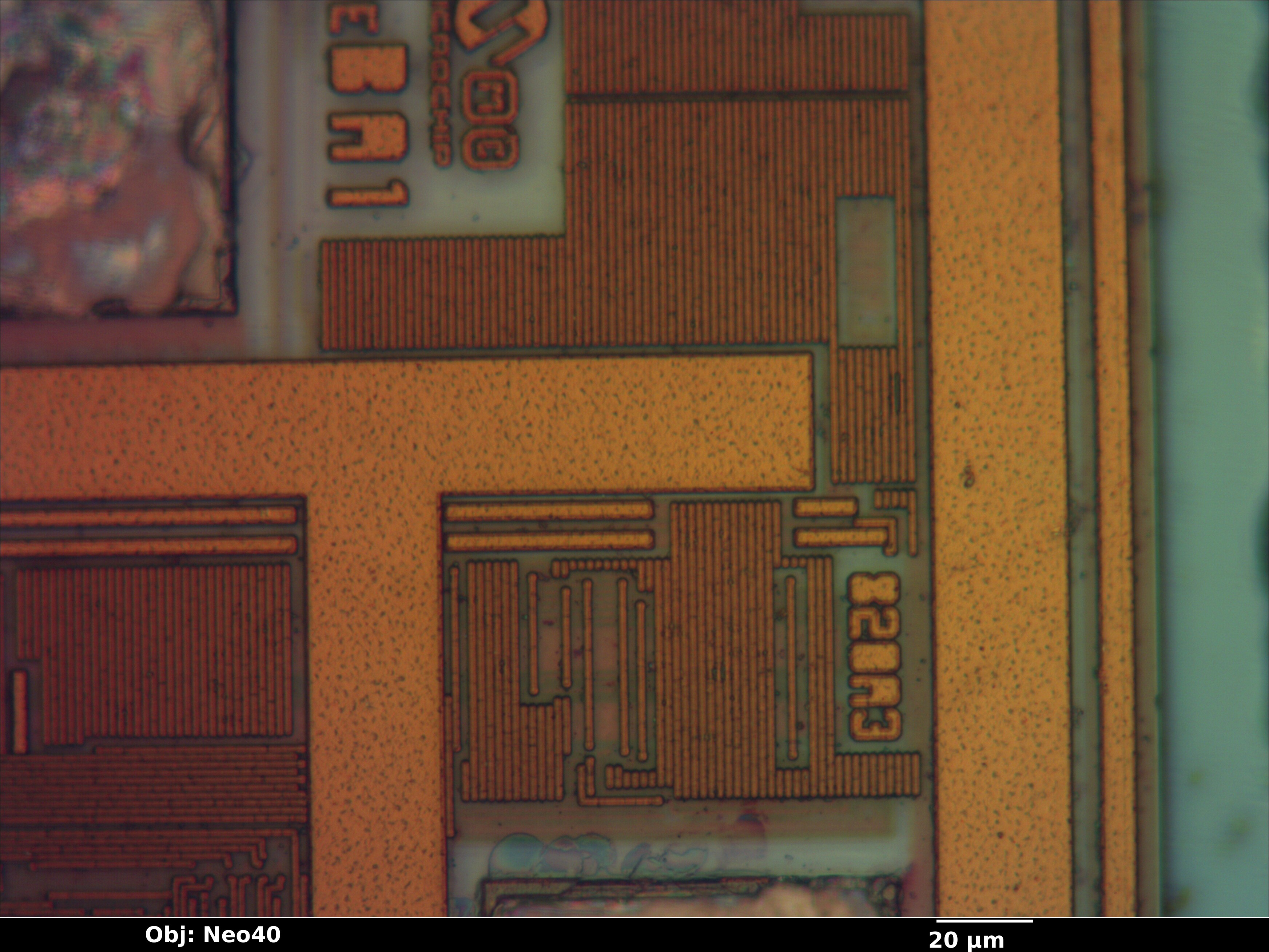pic10f200_02_bf_neo40x_annotated.jpg pic10f200_02_bf_neo40x_annotated.jpg
