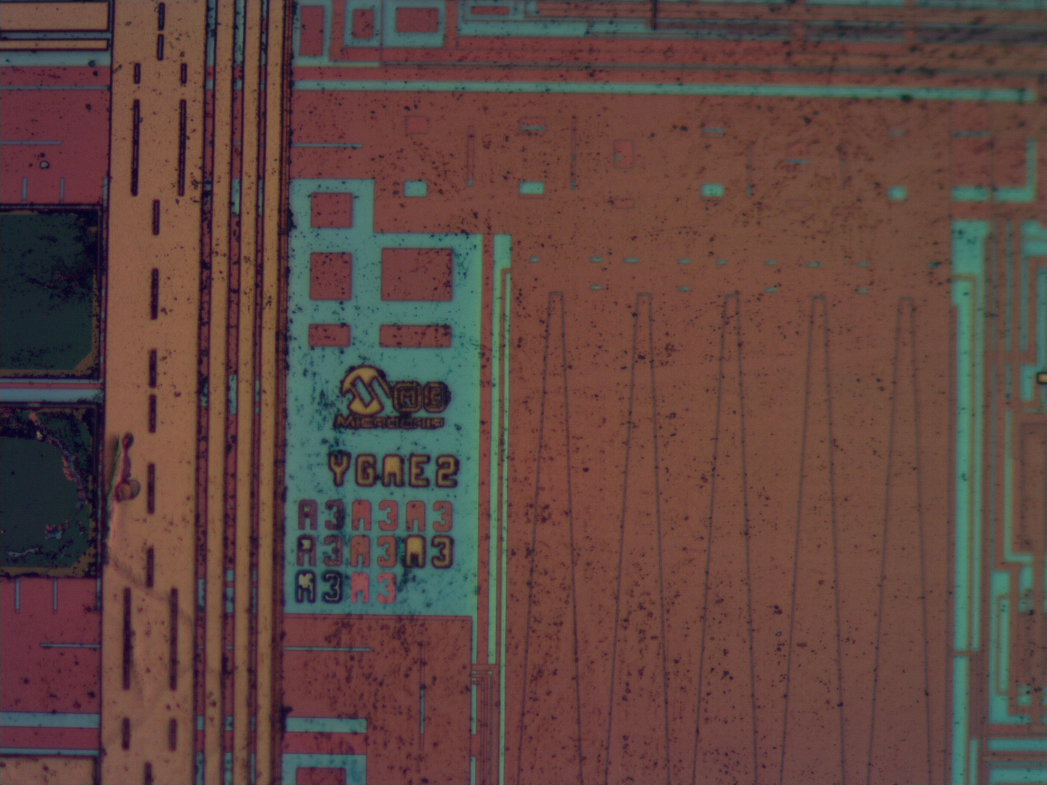 pic18f24j10_01_bf_neo20x.jpg pic18f24j10_01_bf_neo20x.jpg