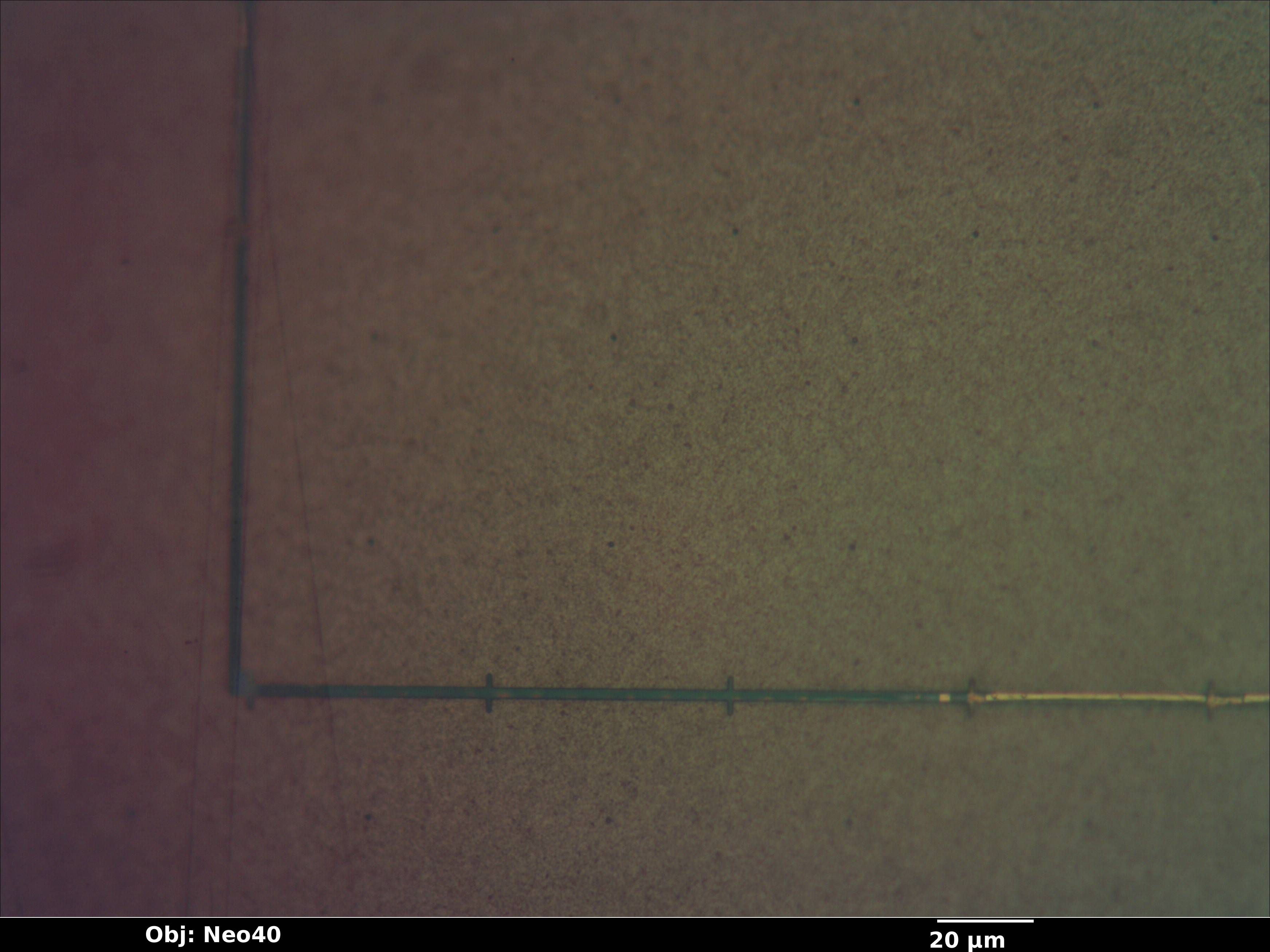 fingerprint_007_bf_neo40x_annotated.jpg fingerprint_007_bf_neo40x_annotated.jpg