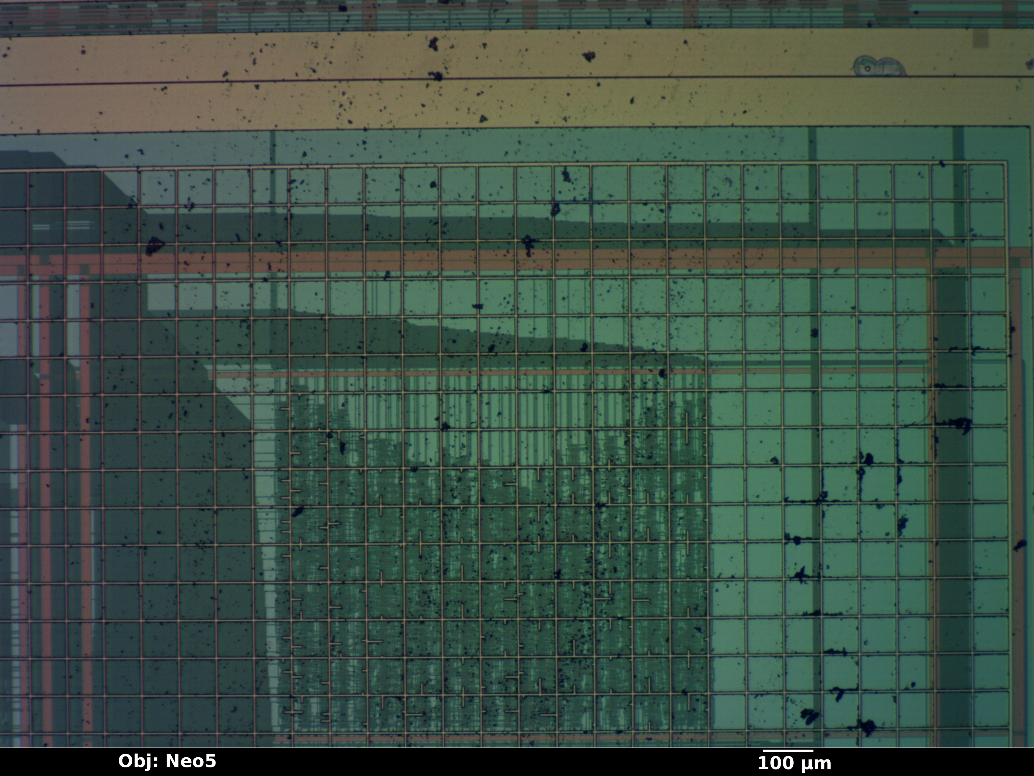 pcidma_04_bf_neo5x_annotated.jpg pcidma_04_bf_neo5x_annotated.jpg