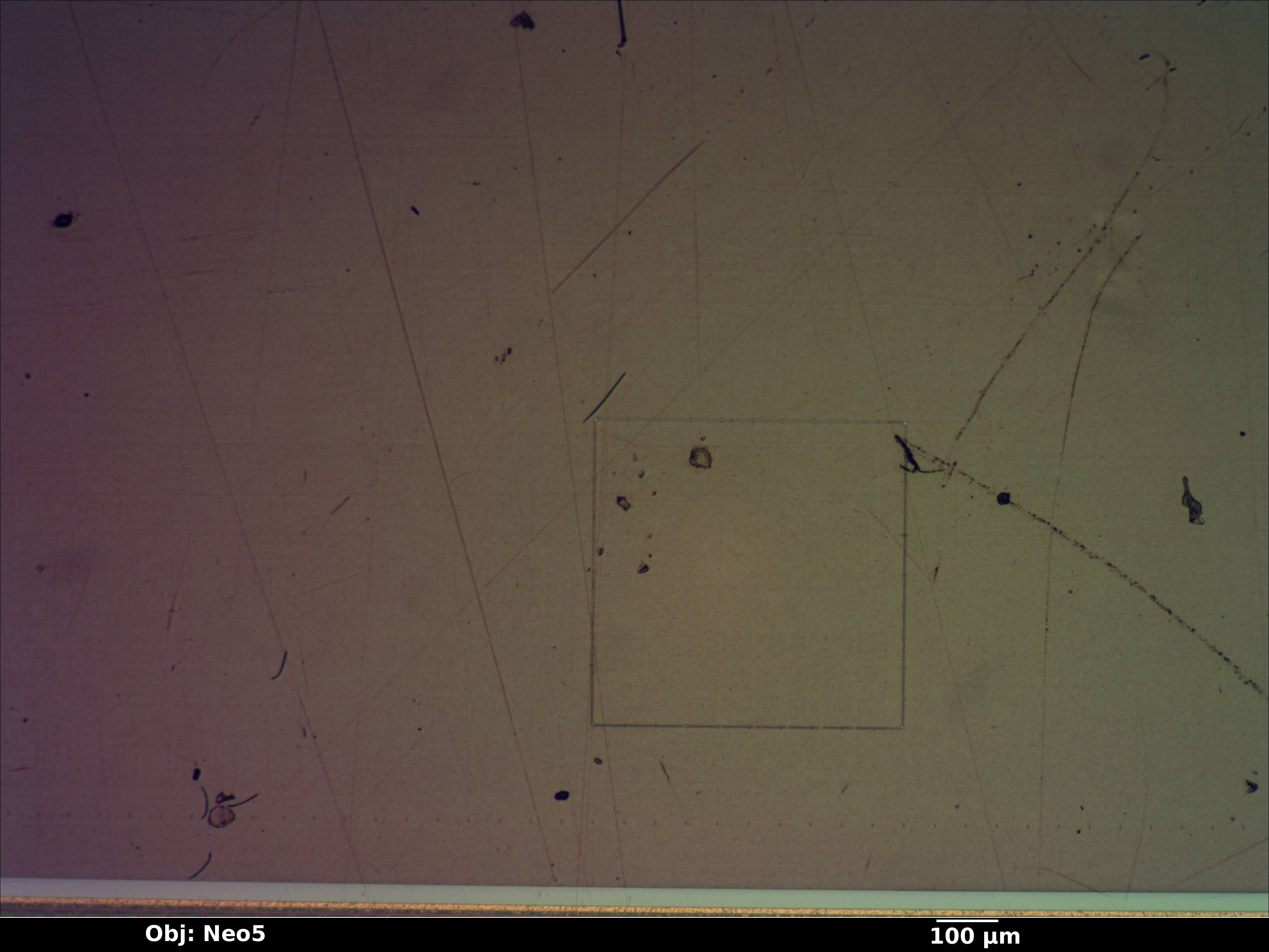 fingerprint_008_bf_neo5x_annotated.jpg fingerprint_008_bf_neo5x_annotated.jpg