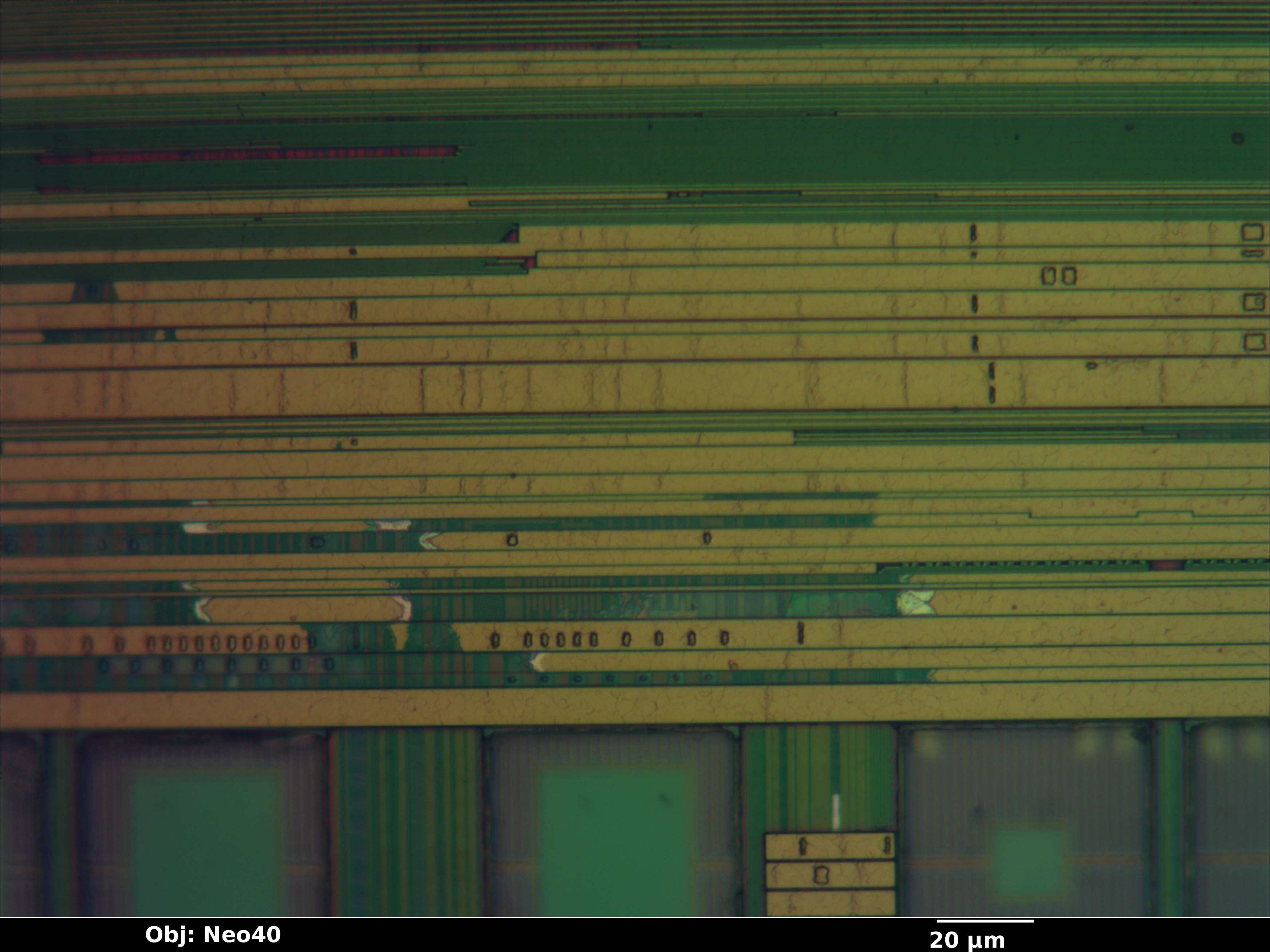 w9751g6kb_13_bf_neo40x_annotated.jpg w9751g6kb_13_bf_neo40x_annotated.jpg