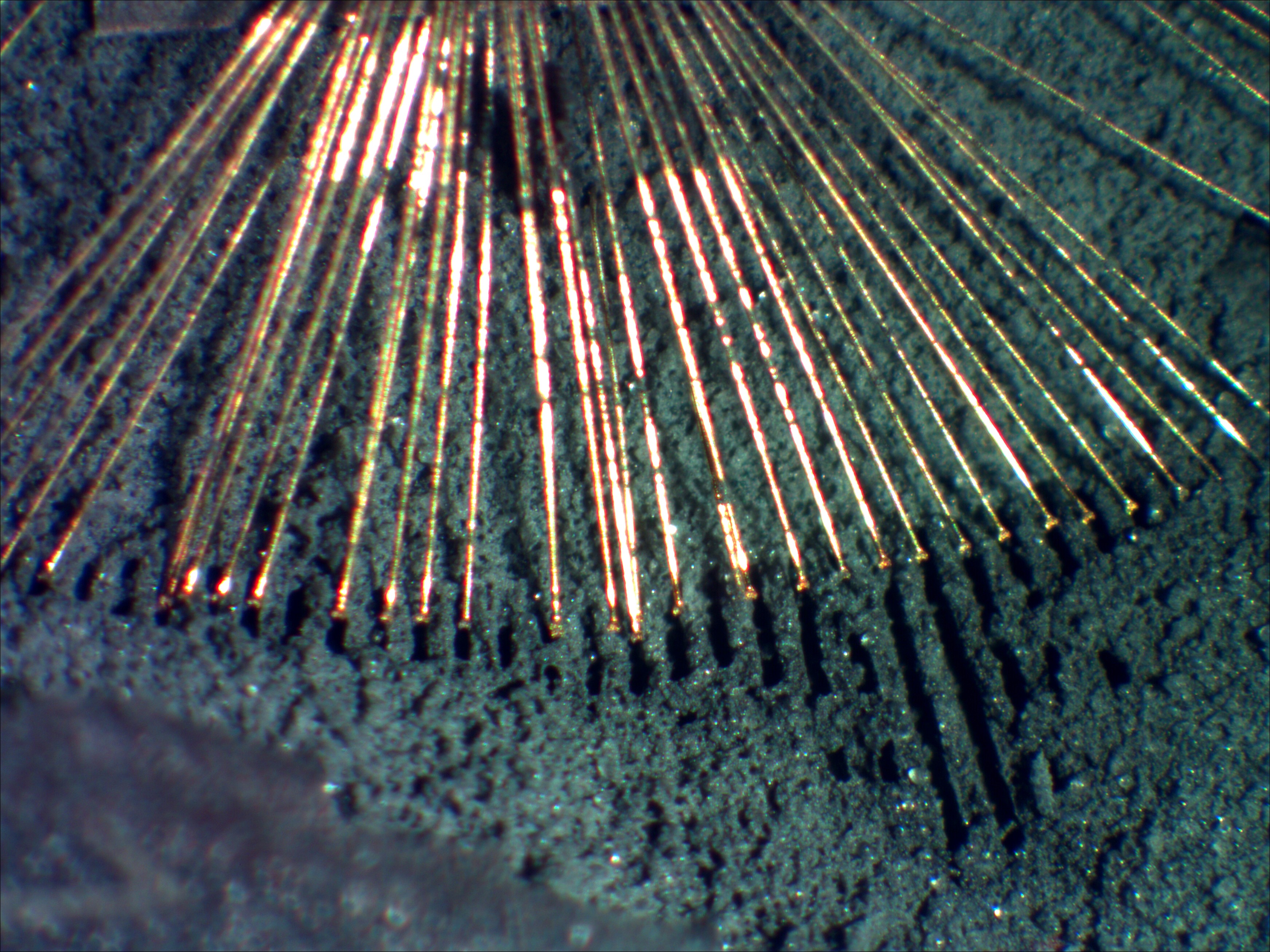 xc3s50an_03_bf_sz.jpg xc3s50an_03_bf_sz.jpg