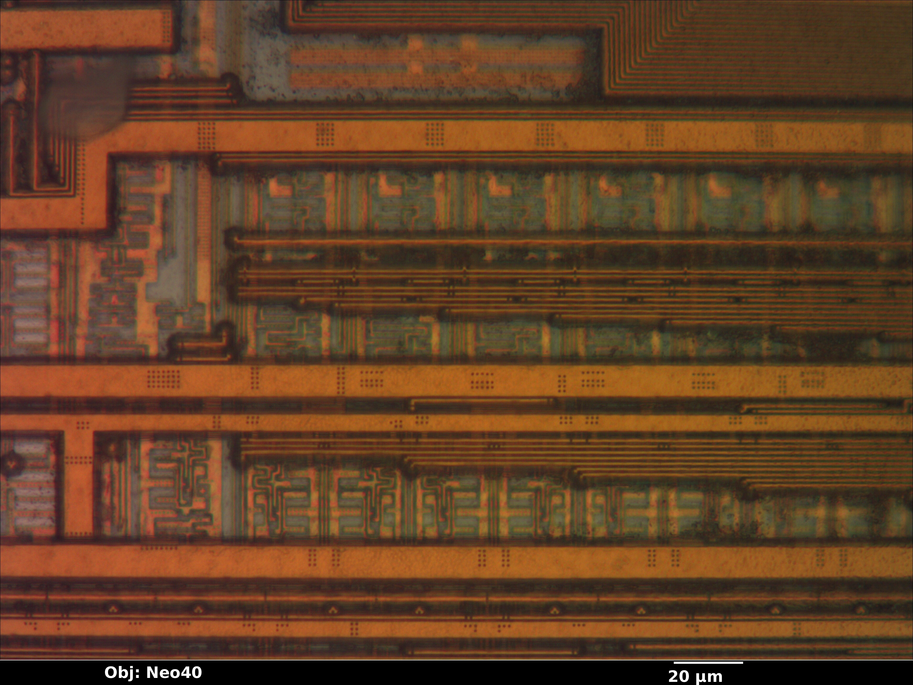 28f800_37_bf_neo40x_annotated.jpg 28f800_37_bf_neo40x_annotated.jpg