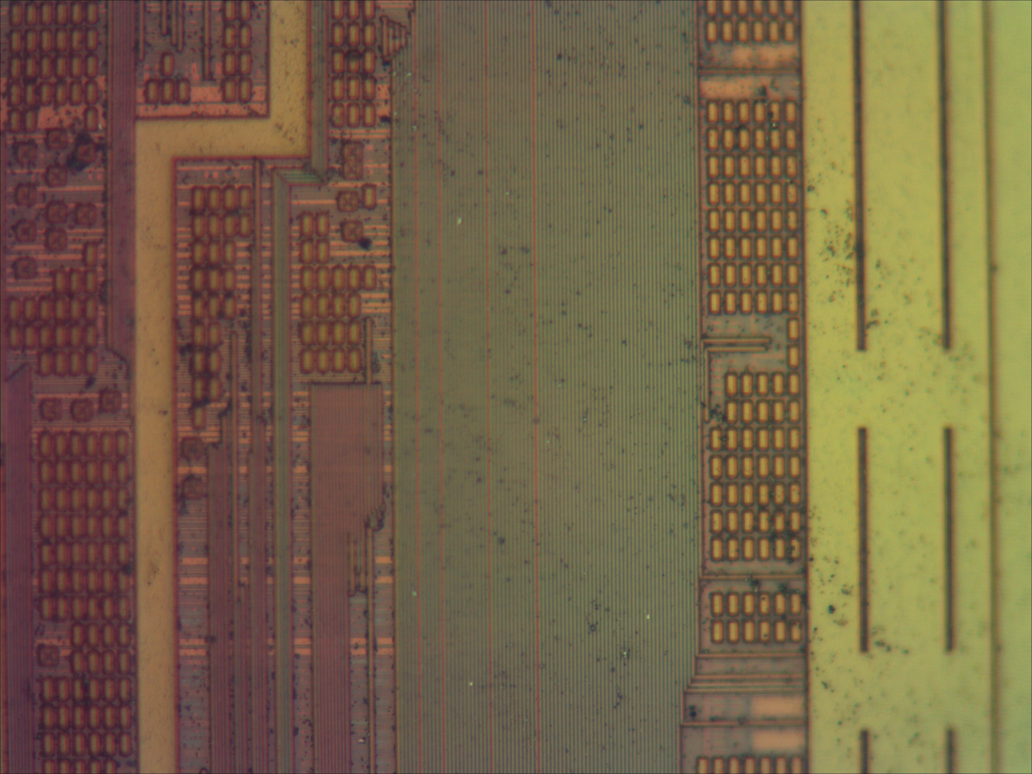xc2c64a_04_bf_neo40x.jpg xc2c64a_04_bf_neo40x.jpg