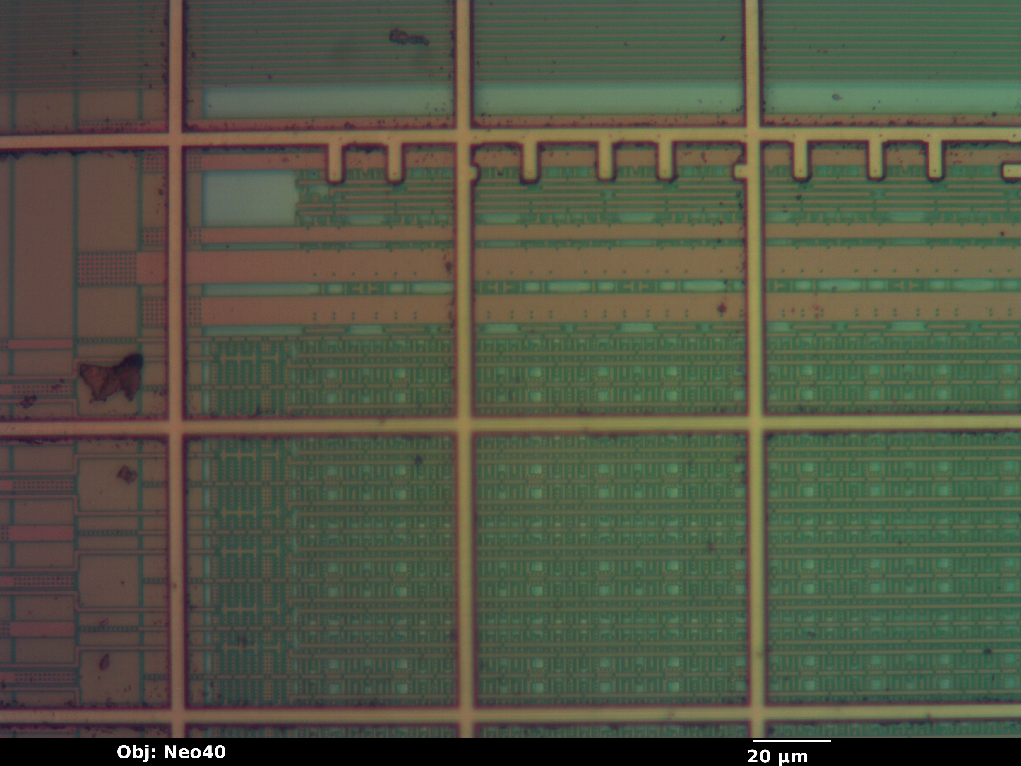 pcidma_08_bf_neo40x_annotated.jpg pcidma_08_bf_neo40x_annotated.jpg