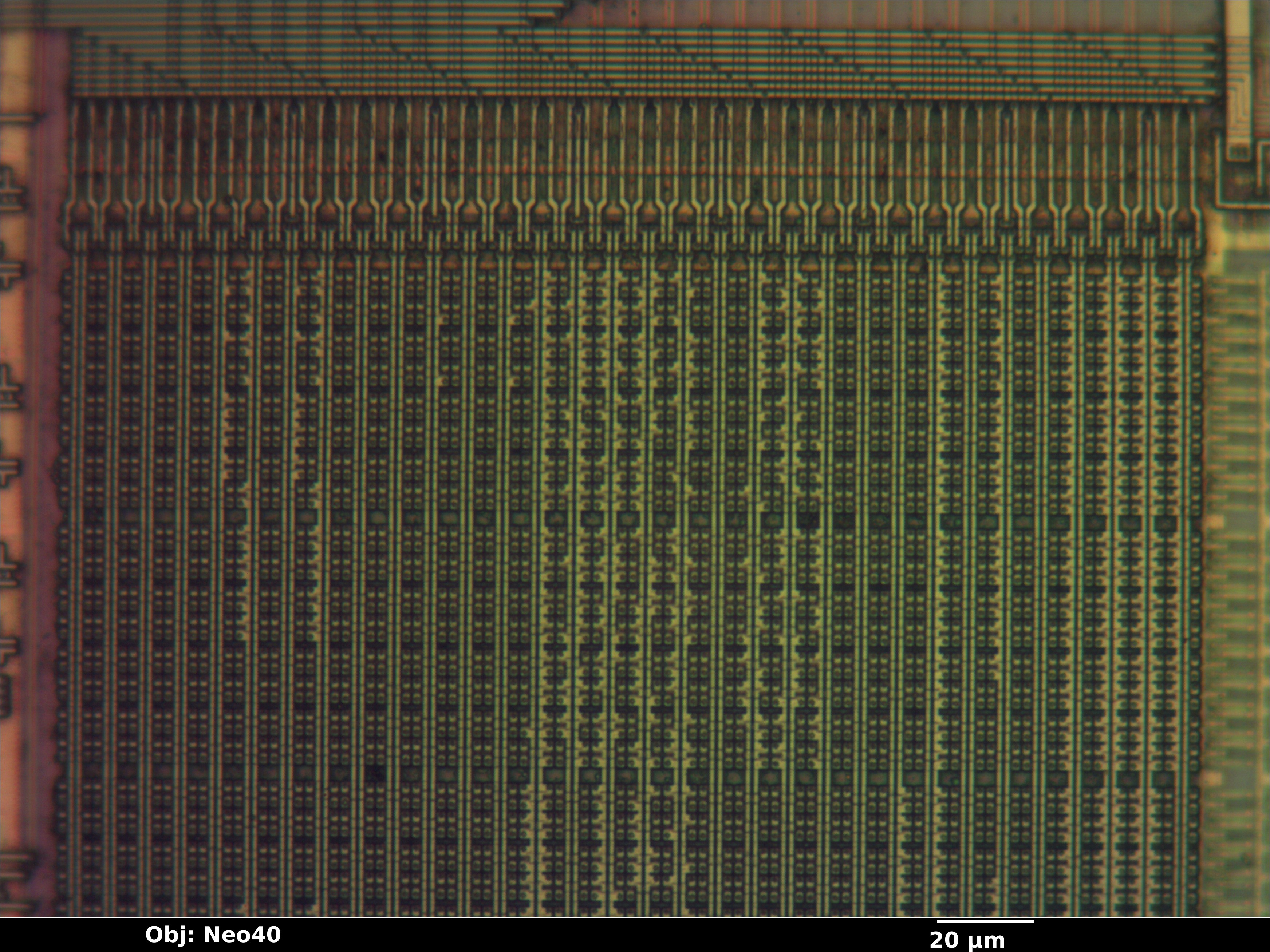cy28323pvc_22_bf_neo40x_annotated.jpg cy28323pvc_22_bf_neo40x_annotated.jpg