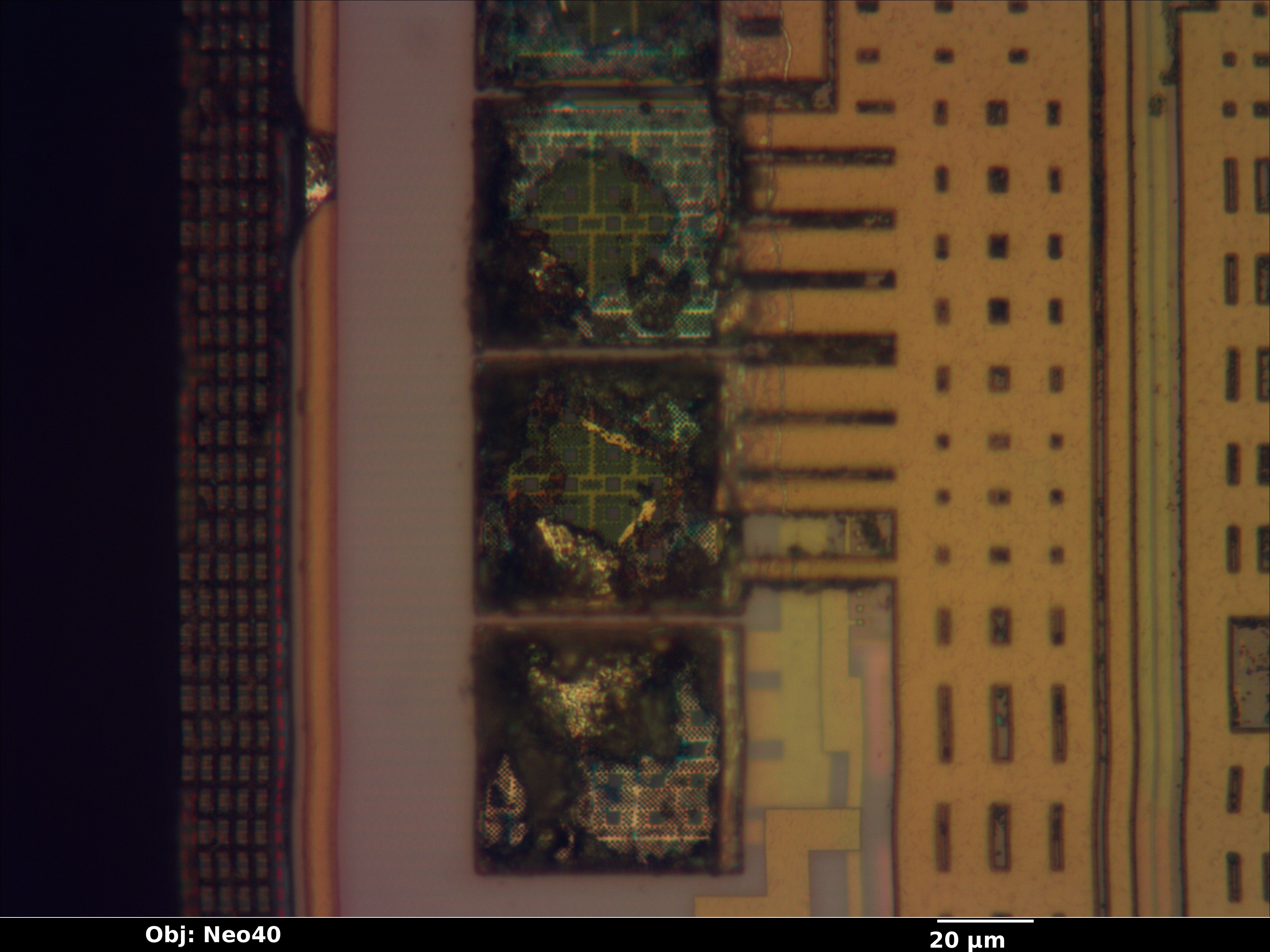 ft2232h_29_bf_neo40x_annotated.jpg ft2232h_29_bf_neo40x_annotated.jpg