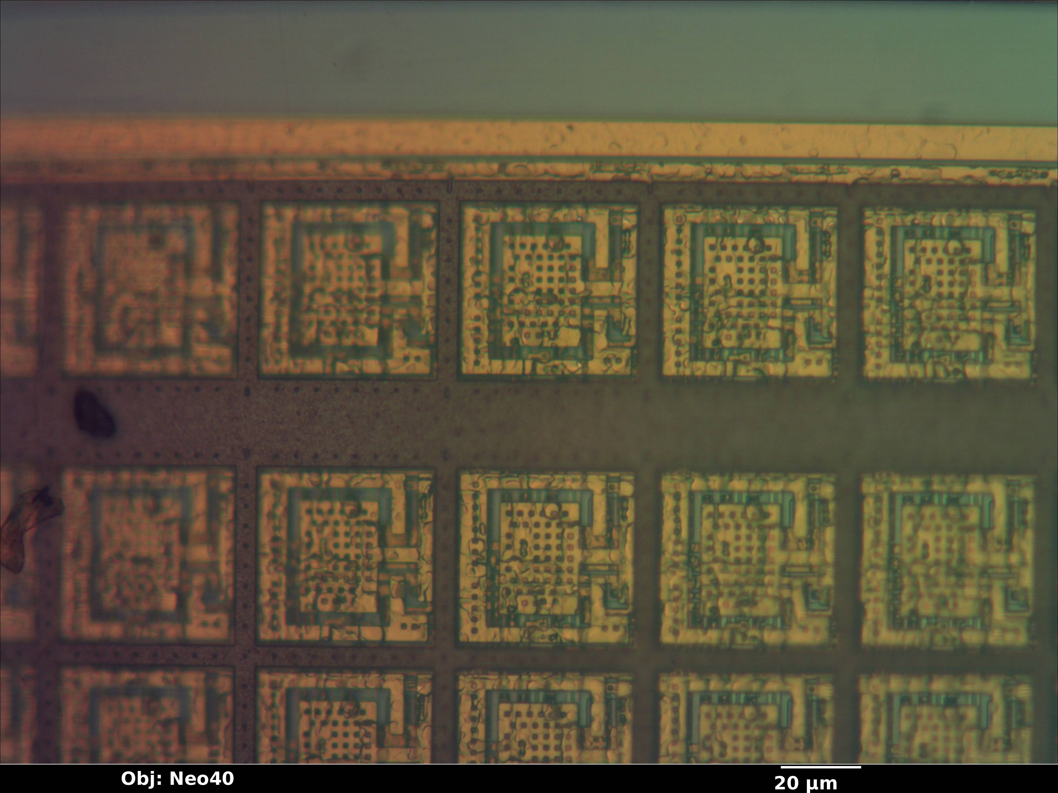fingerprint_003_bf_neo40x_annotated.jpg fingerprint_003_bf_neo40x_annotated.jpg