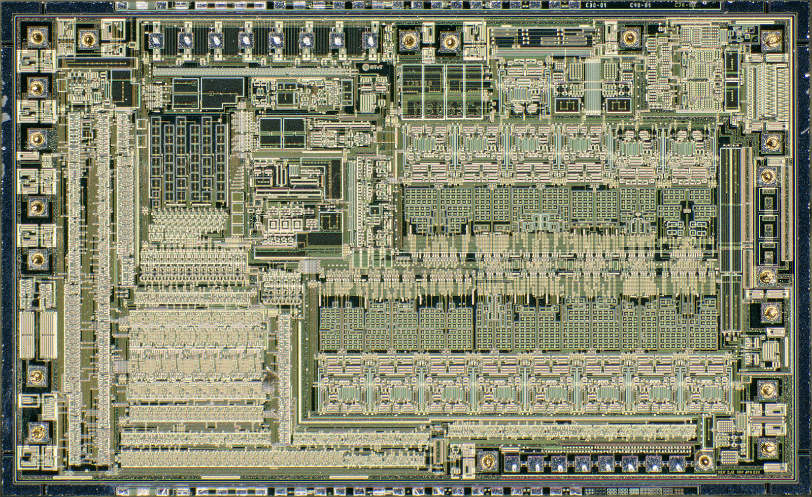 ASCII   Kolor stitching | 3 pictures | Size: 3877 x 6121 | Lens: Standard | RMS:... ASCII   Kolor stitching | 3 pictures | Size: 3877 x 6121 | Lens: Standard | RMS:...