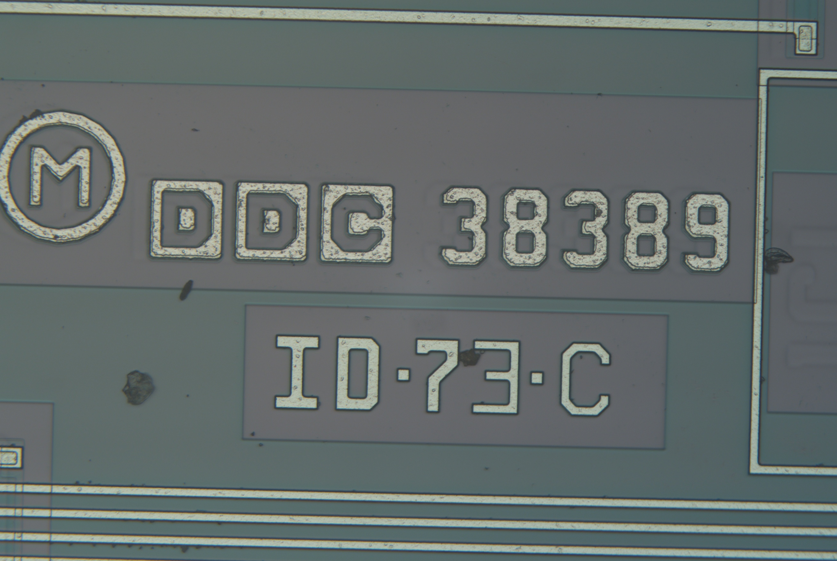 w037_21_20x.jpg w037_21_20x.jpg