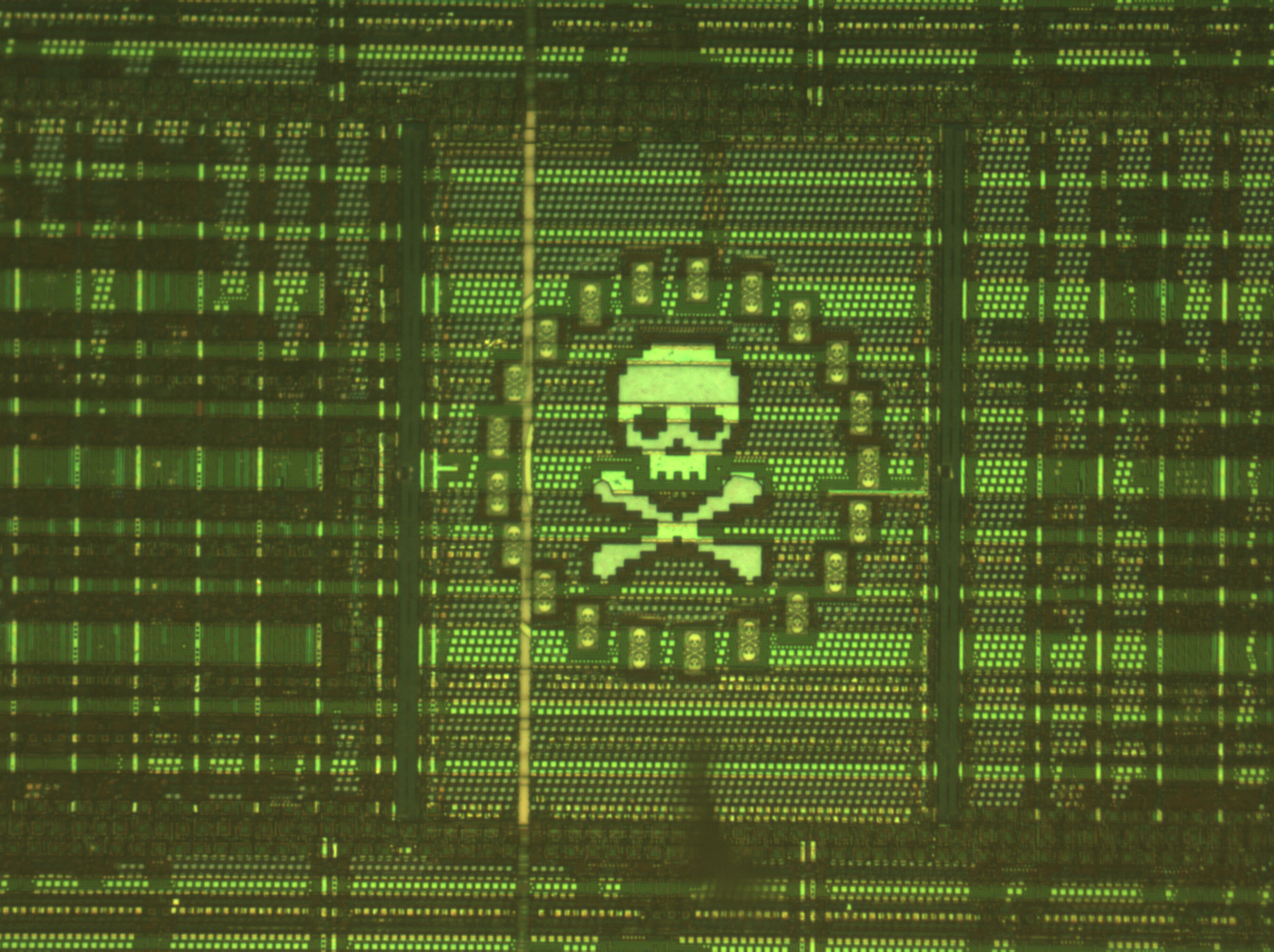 skull_head_2.jpg skull_head_2.jpg