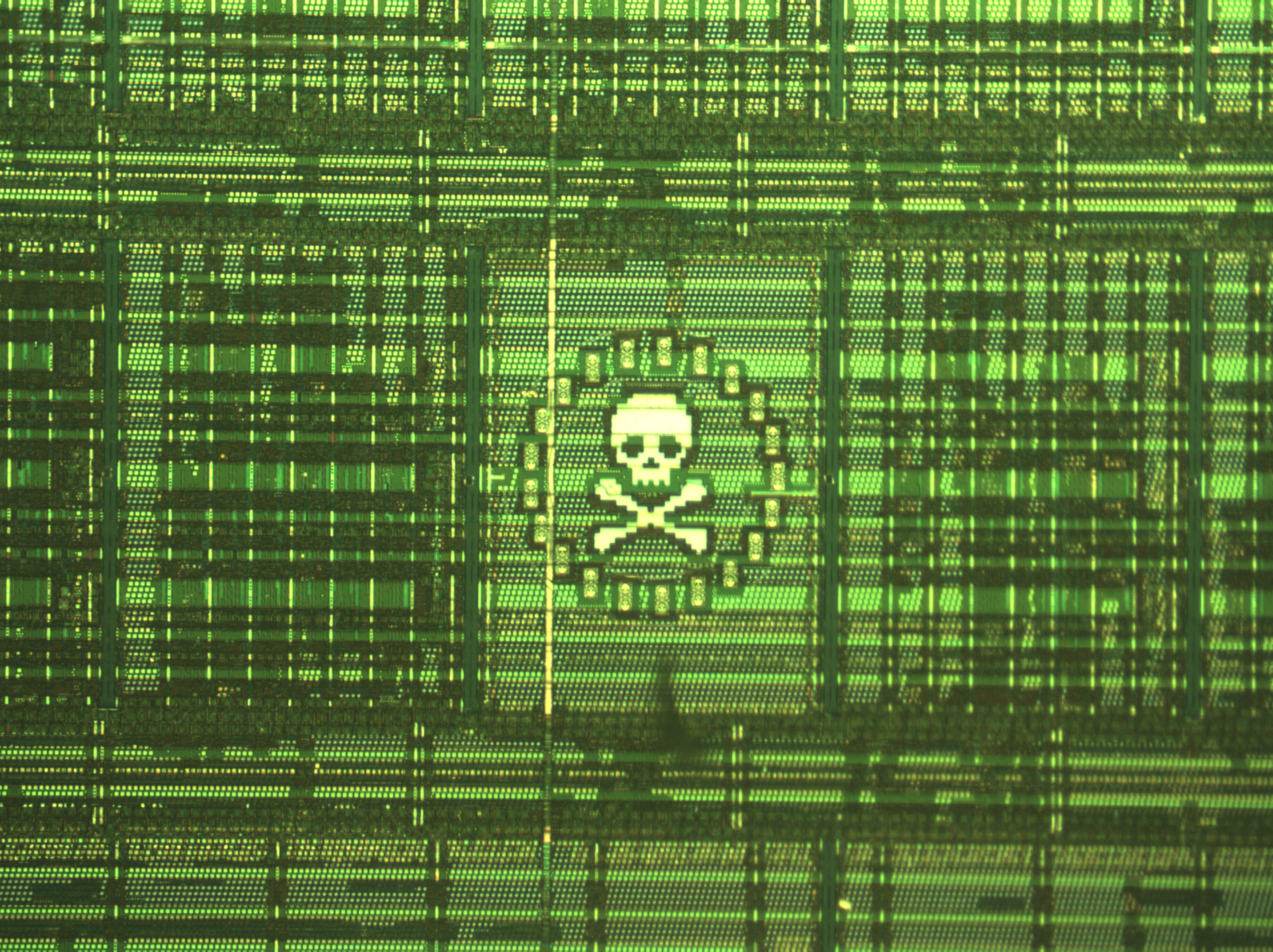 skull_head.jpg skull_head.jpg