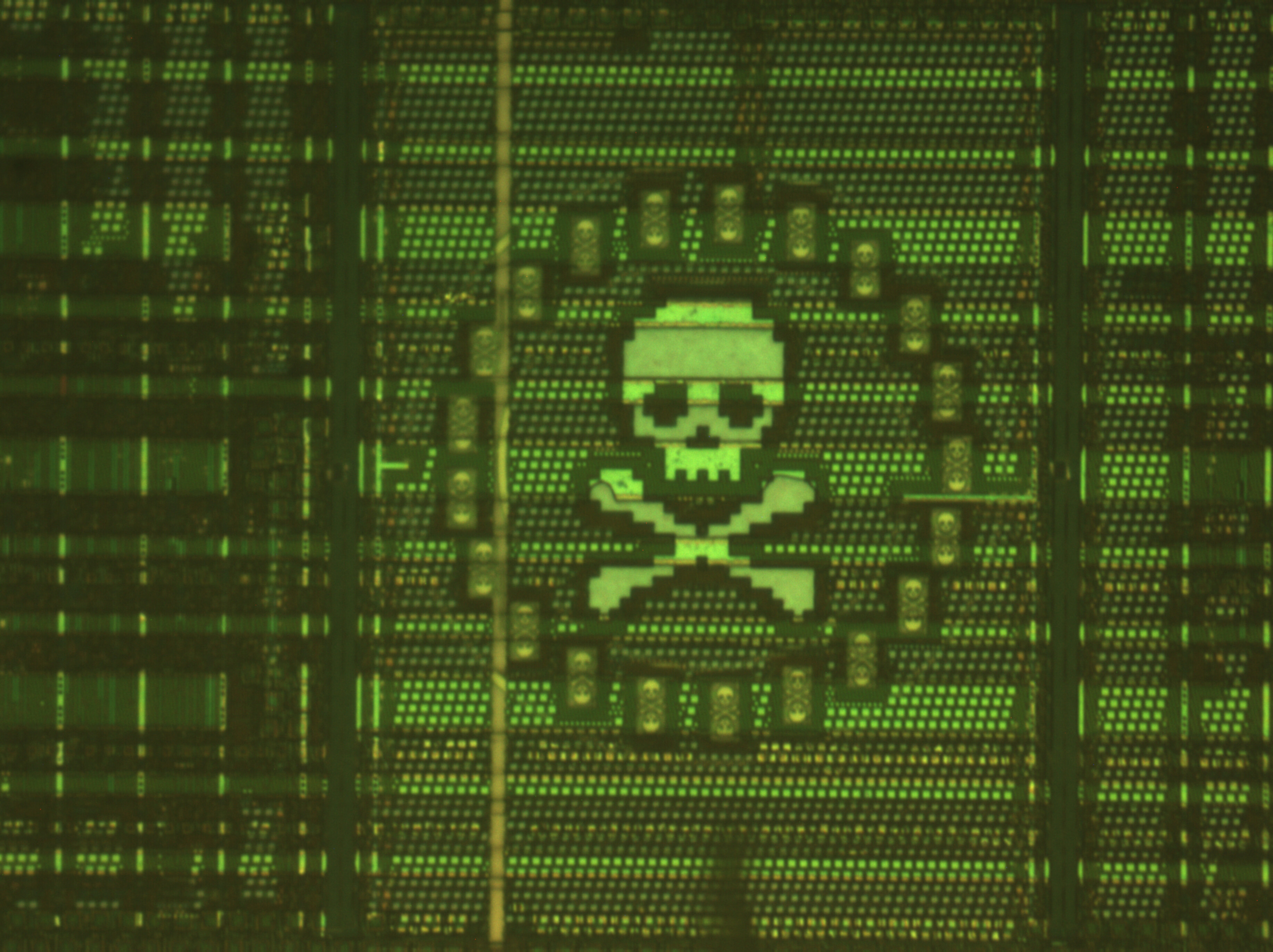 skull_head_3.jpg skull_head_3.jpg