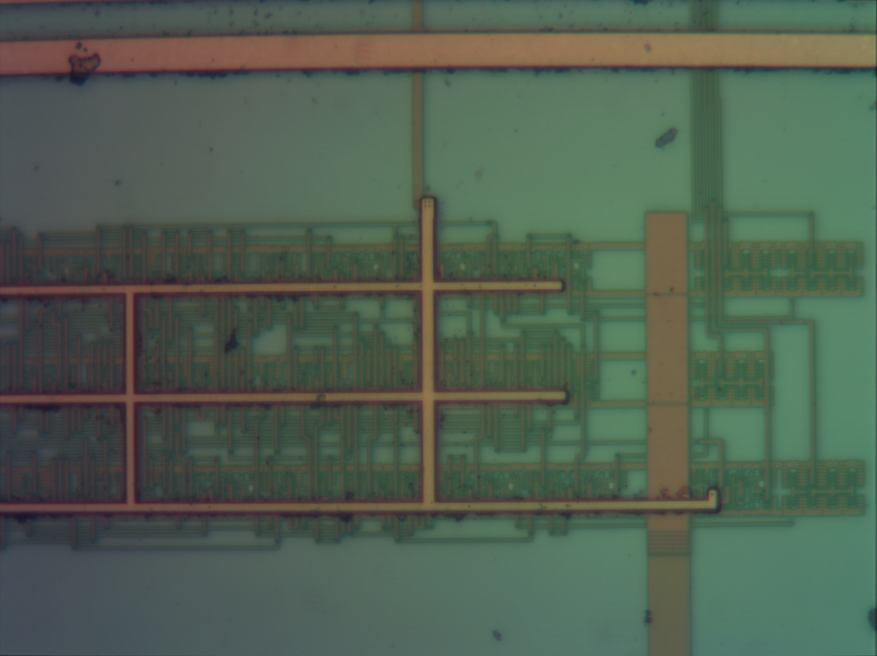 pcidma_bf_neo40x_fused.jpg pcidma_bf_neo40x_fused.jpg