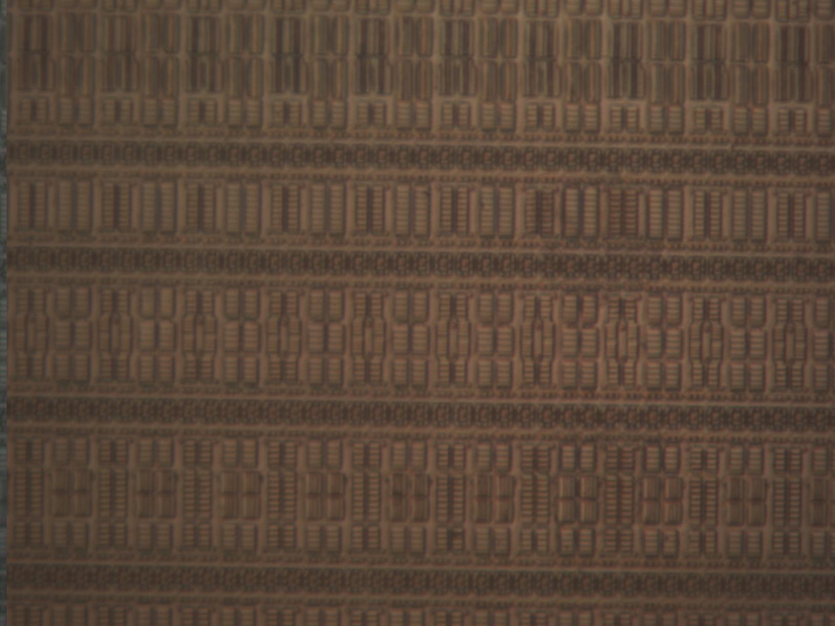 mit100x_007.jpg mit100x_007.jpg