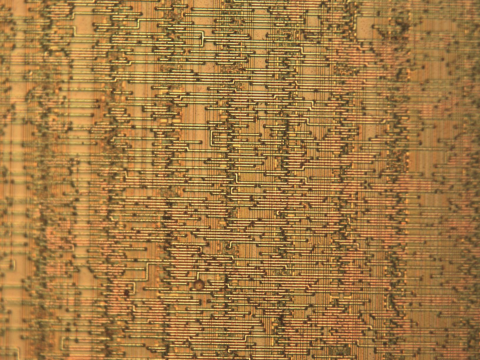 sample_mit20x.jpg sample_mit20x.jpg